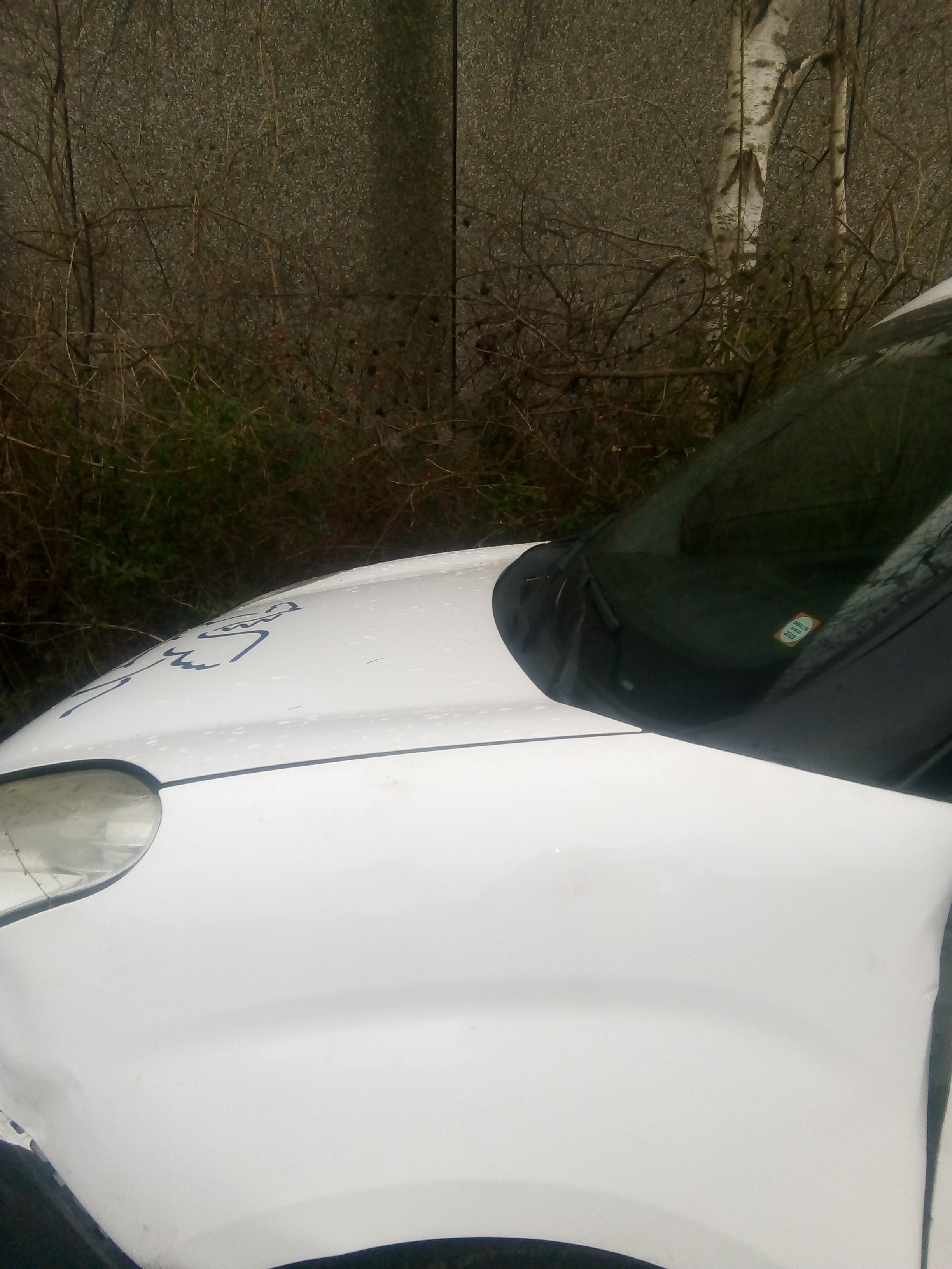 Hvid Fiat Doblò Cargo fra 2010