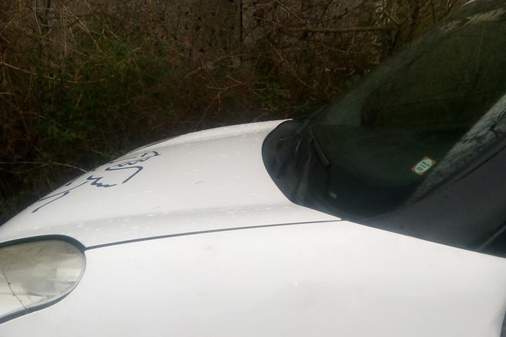 Hvid Fiat Doblò Cargo fra 2010
