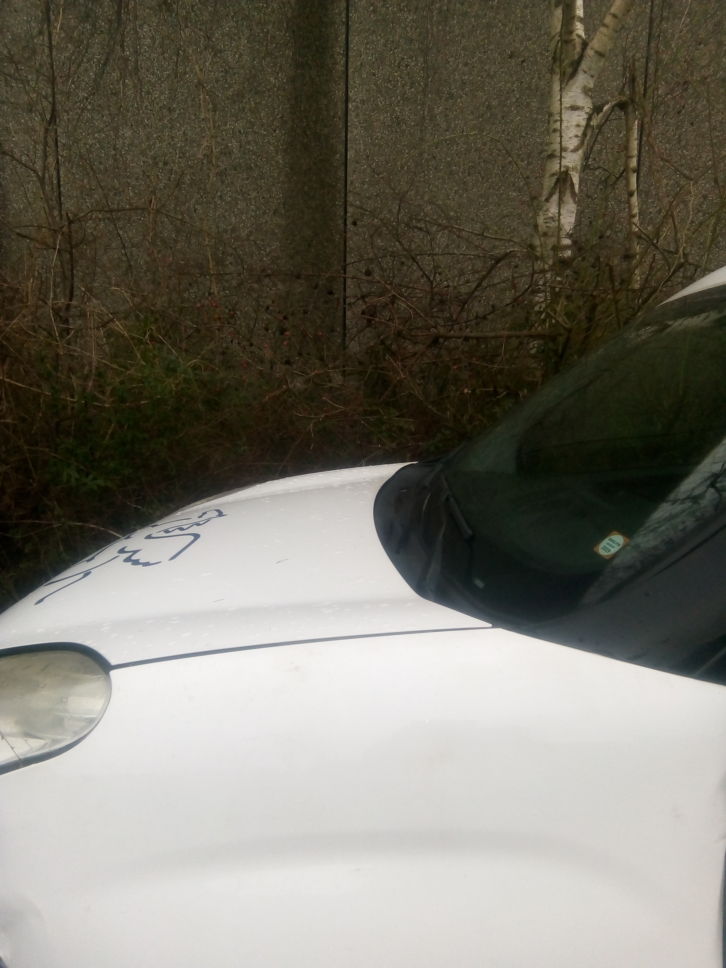 Hvid Fiat Doblò Cargo fra 2010