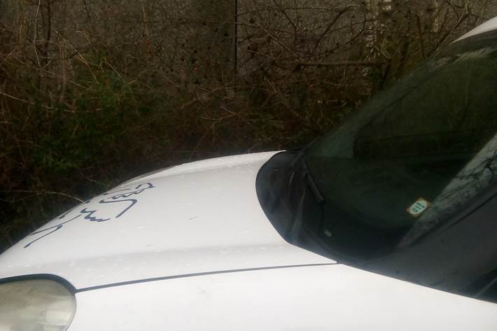 Hvid Fiat Doblò Cargo fra 2010