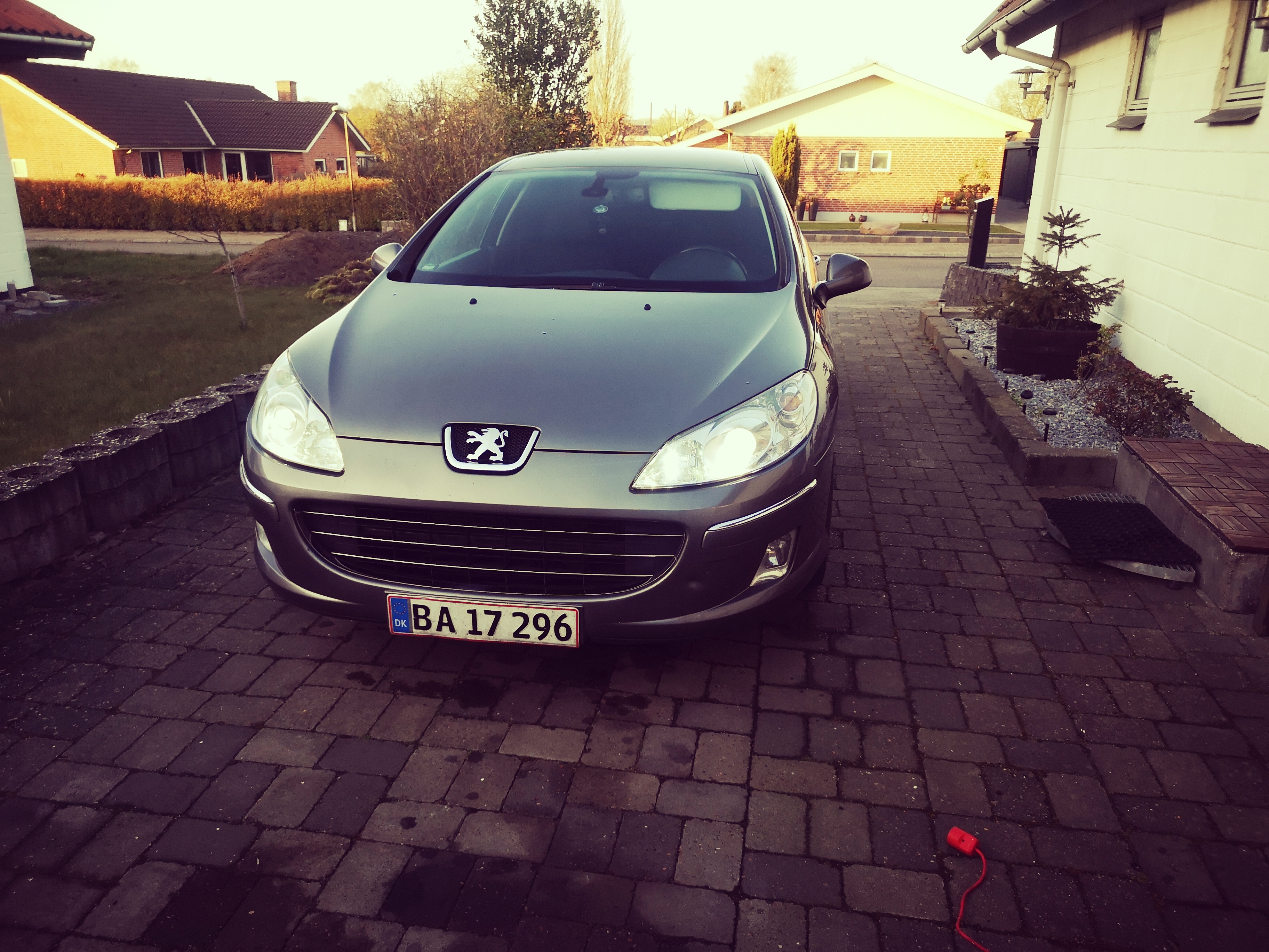 Grå Peugeot 407 fra 2010