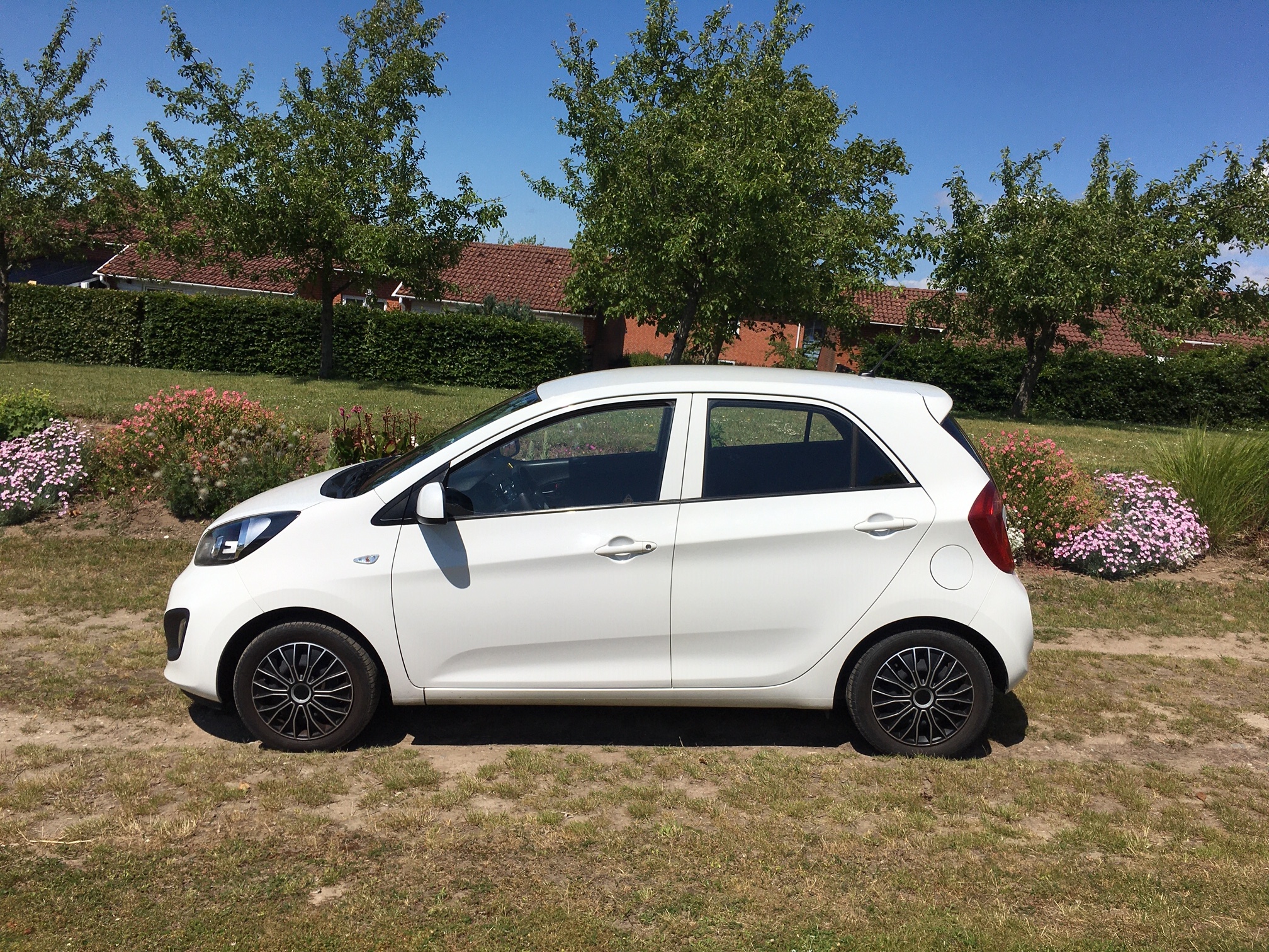 Hvid Kia Picanto fra 2013