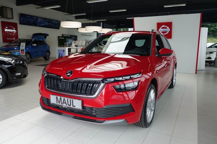 Grå Skoda Kamiq fra 2020