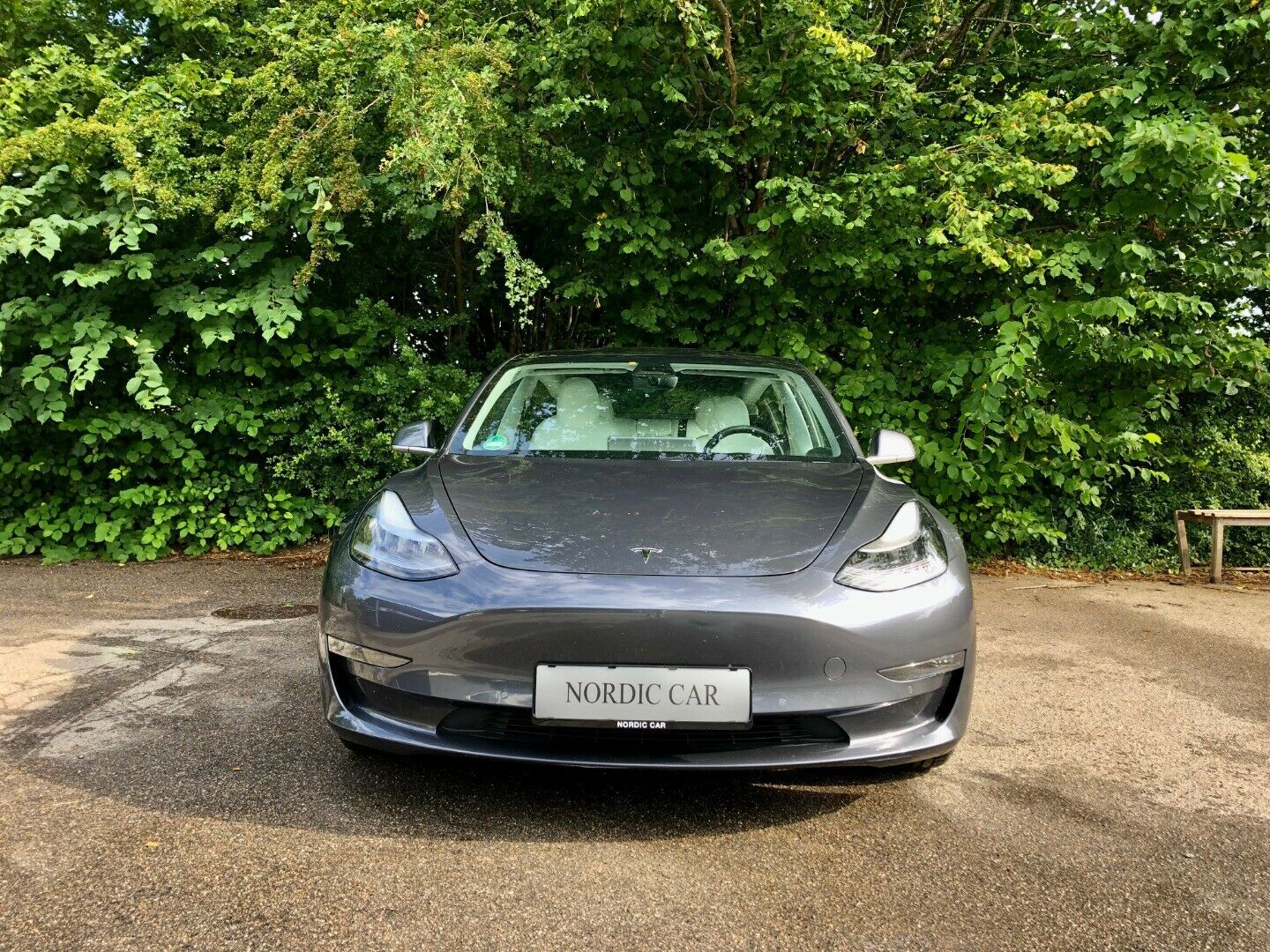 Grå Tesla Model 3 fra 2019