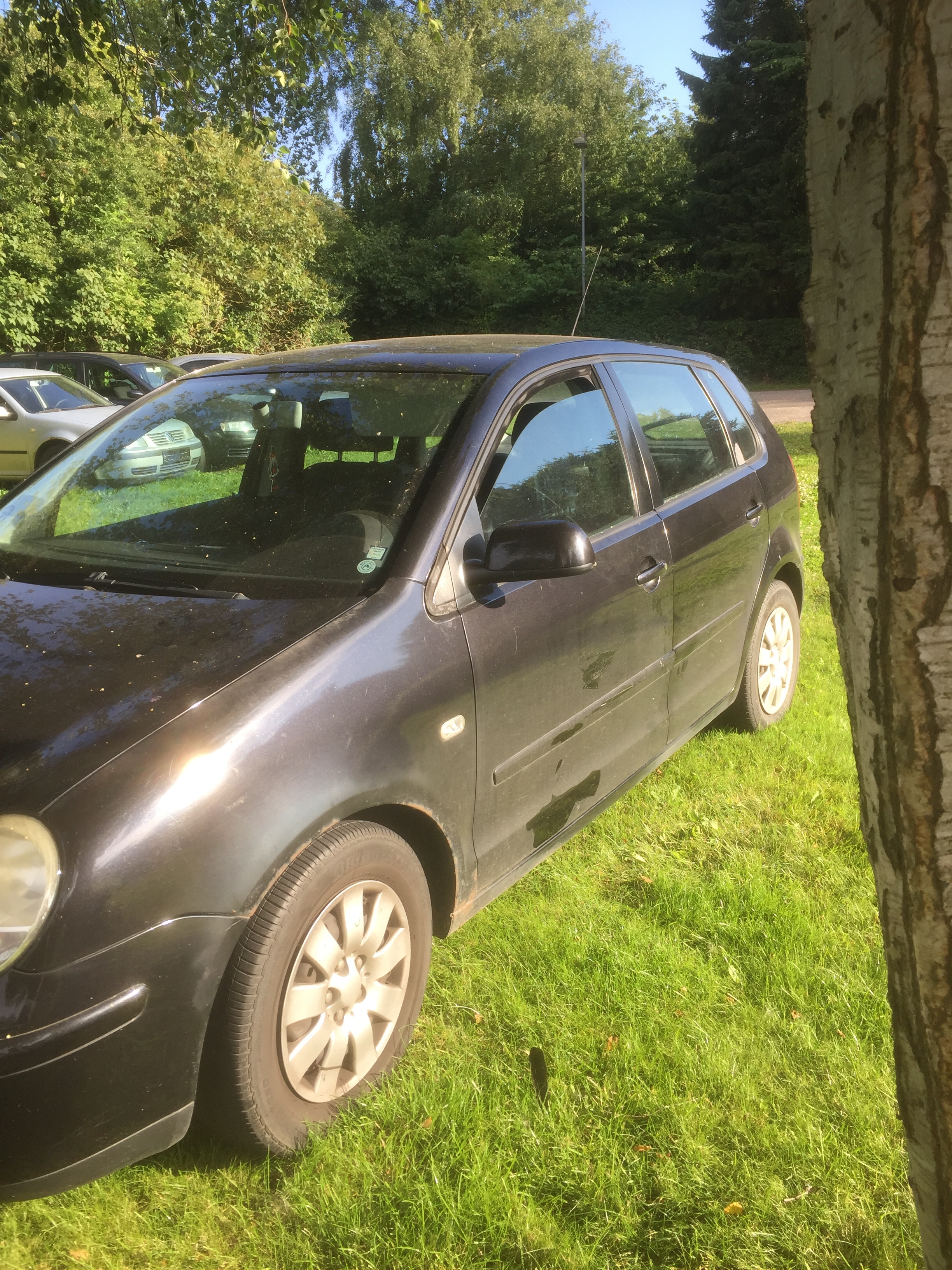 Sort VW Polo fra 2022