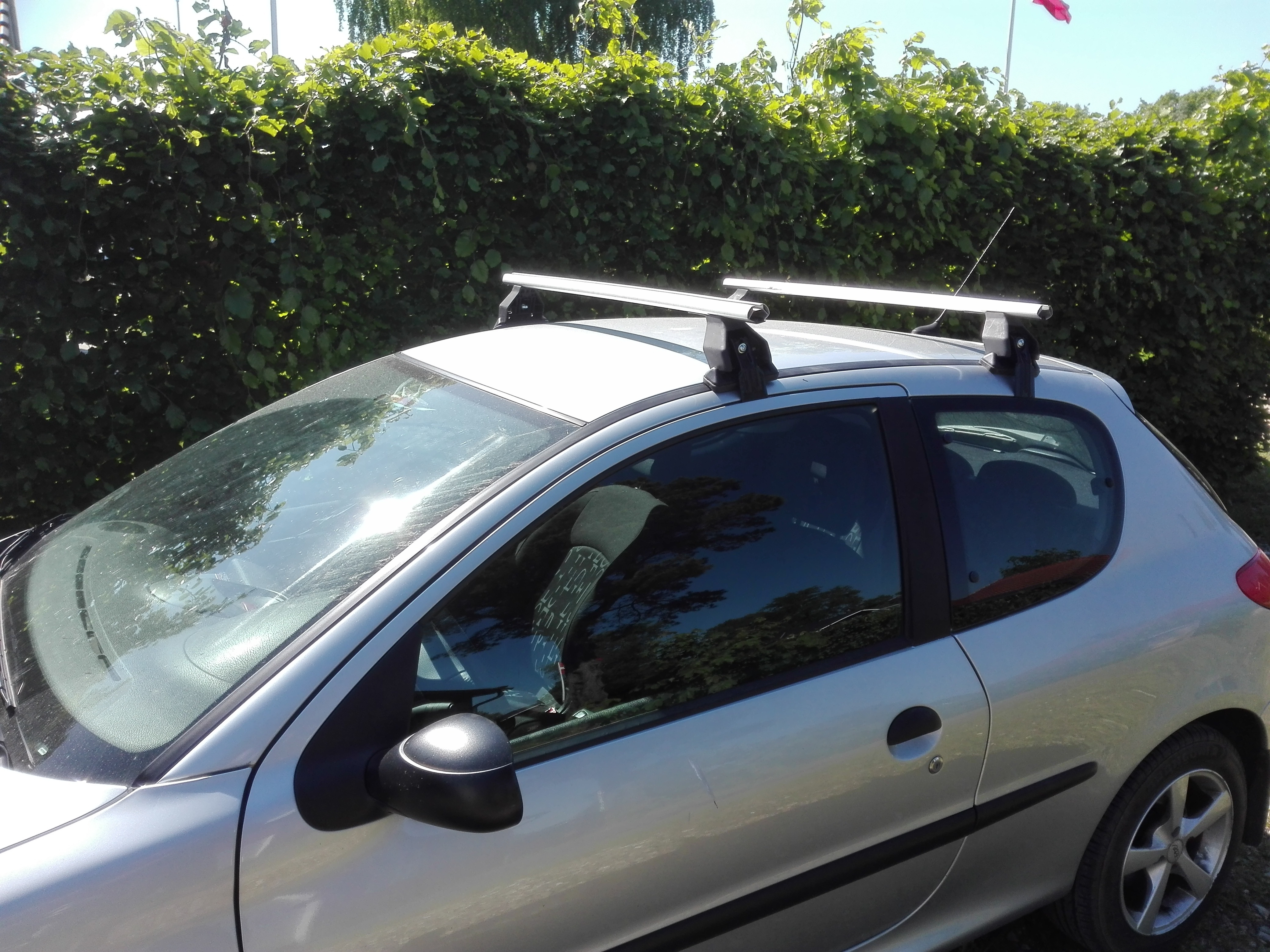 Sølv Peugeot 206 fra 2001