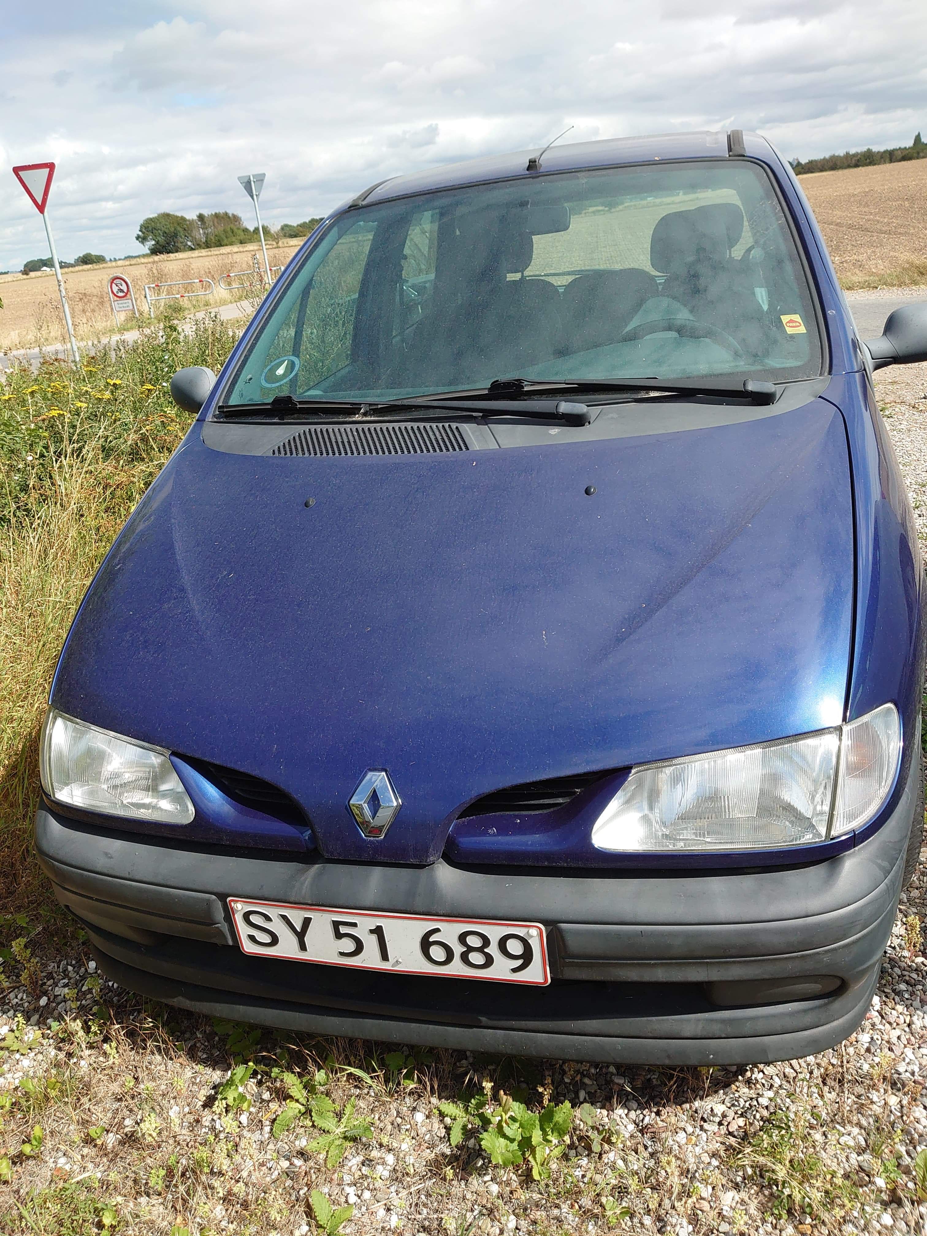 undefined Renault Mégane fra 1998