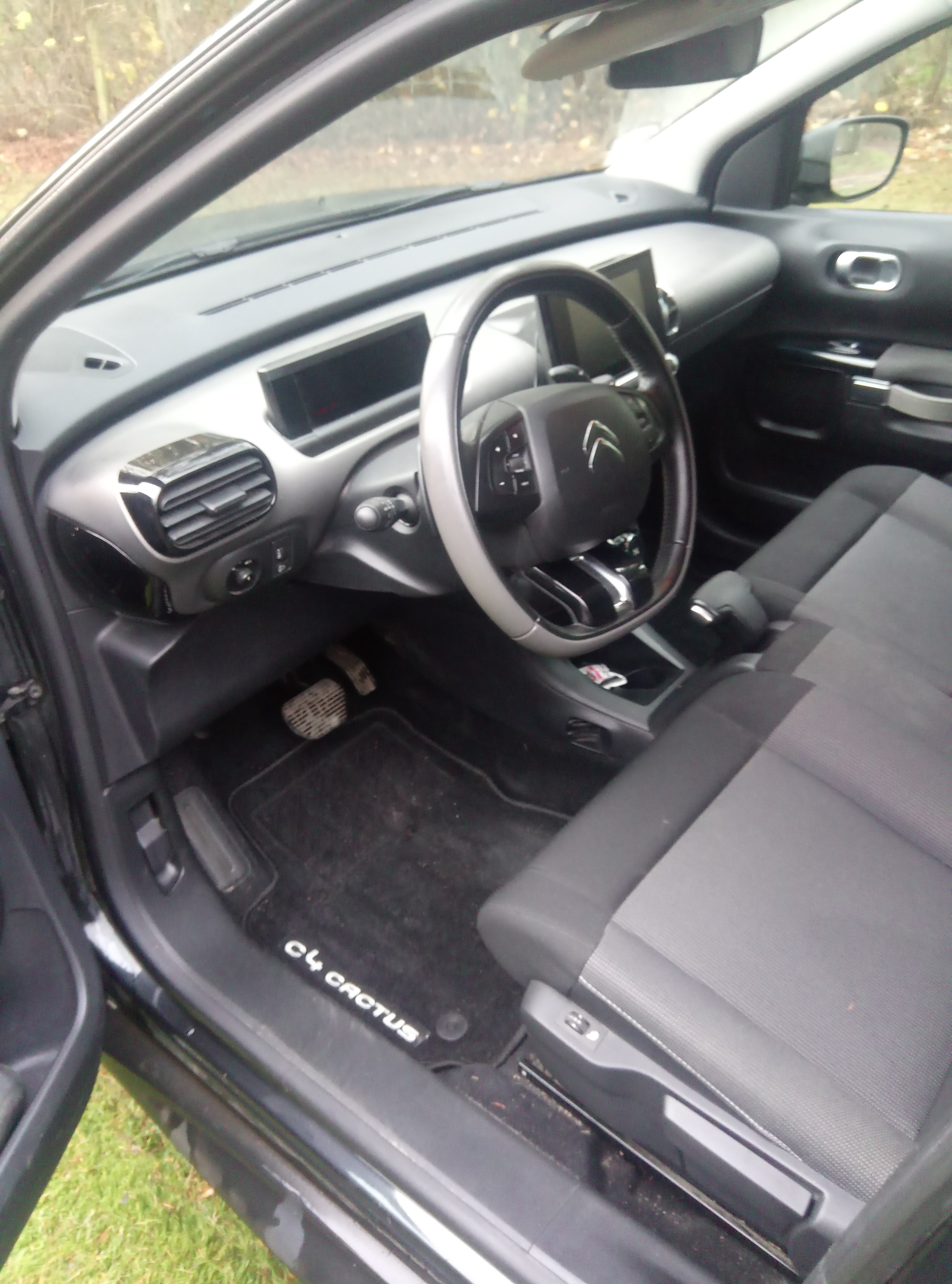 Sort Citroën C4 Cactus fra 2016