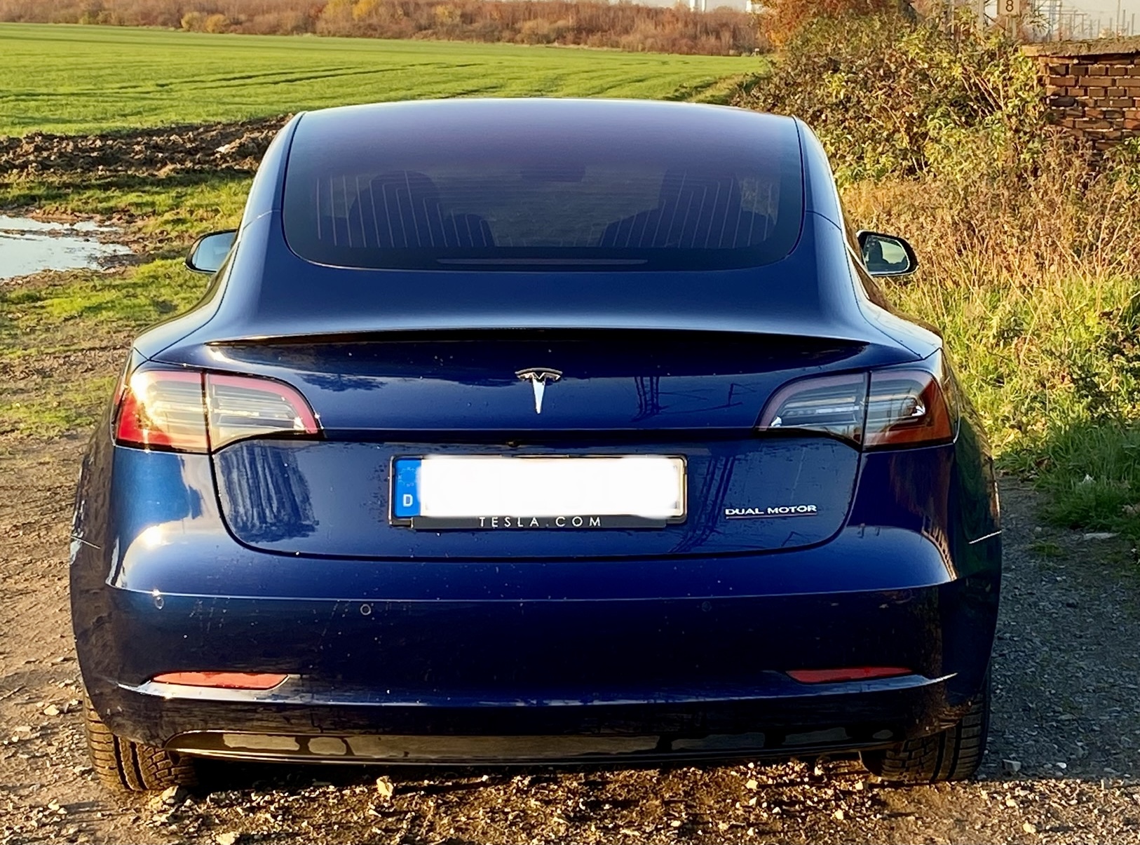 Blå Tesla Model 3 fra 2019