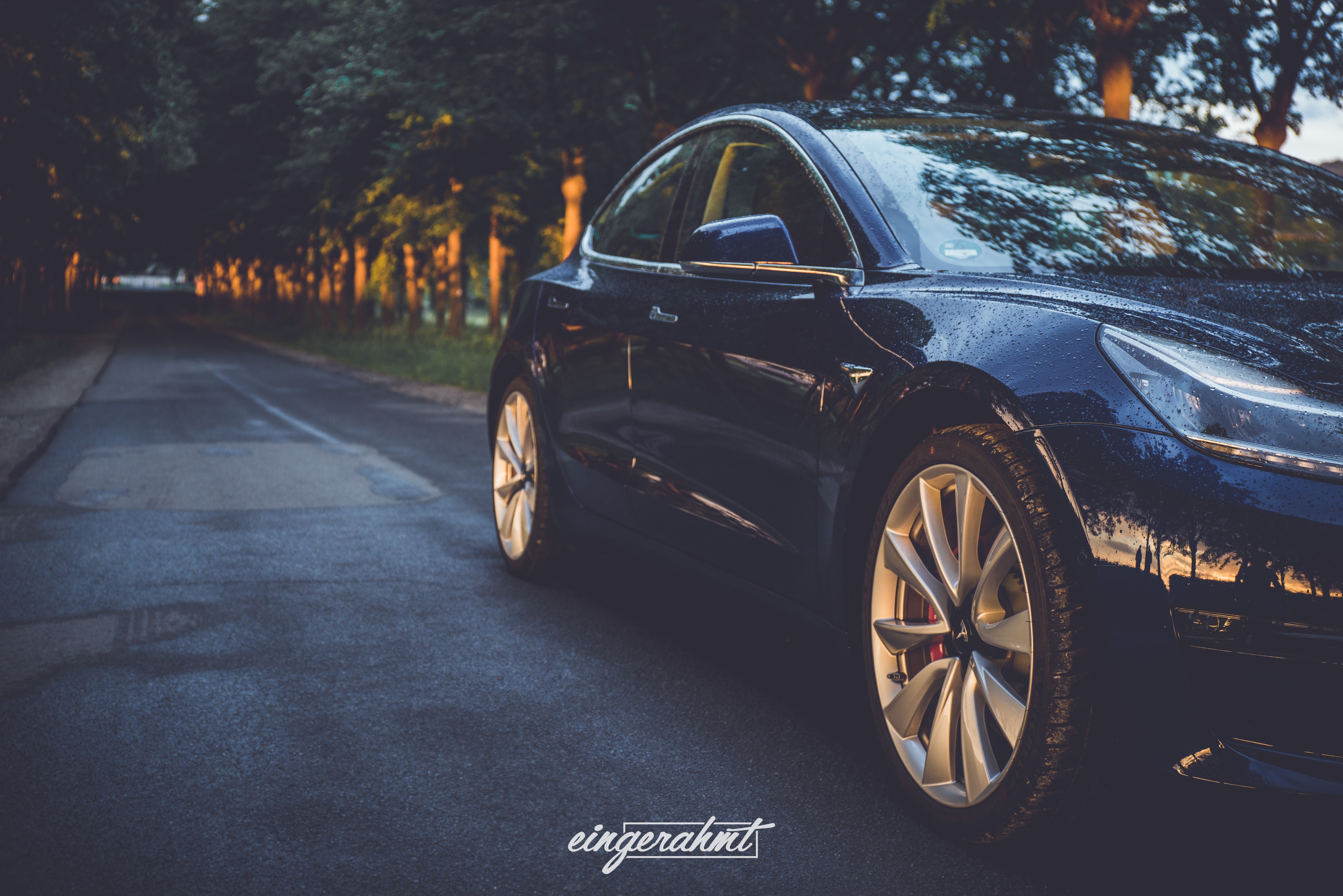 Blå Tesla Model 3 fra 2019