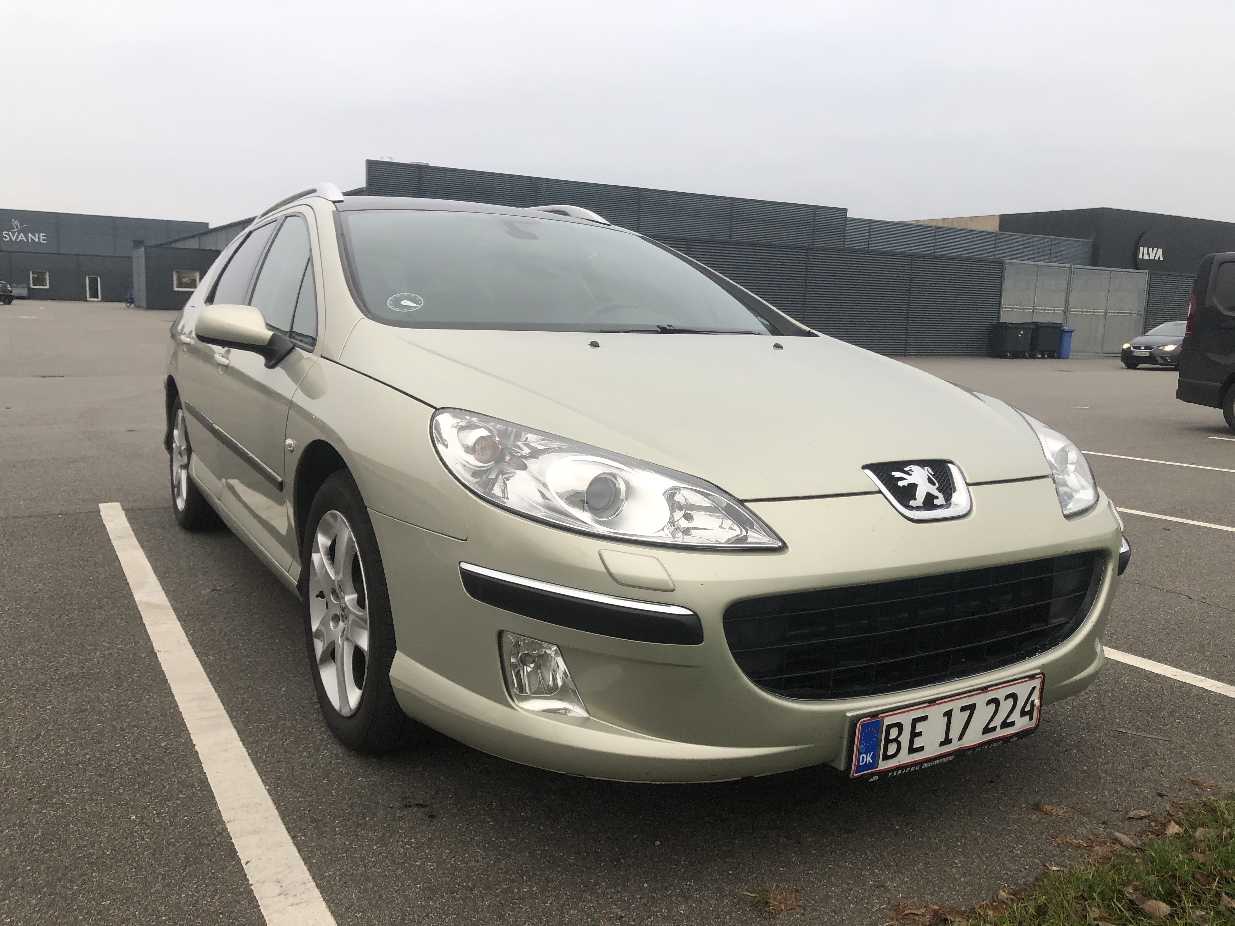 Guld Peugeot 407 fra 2005