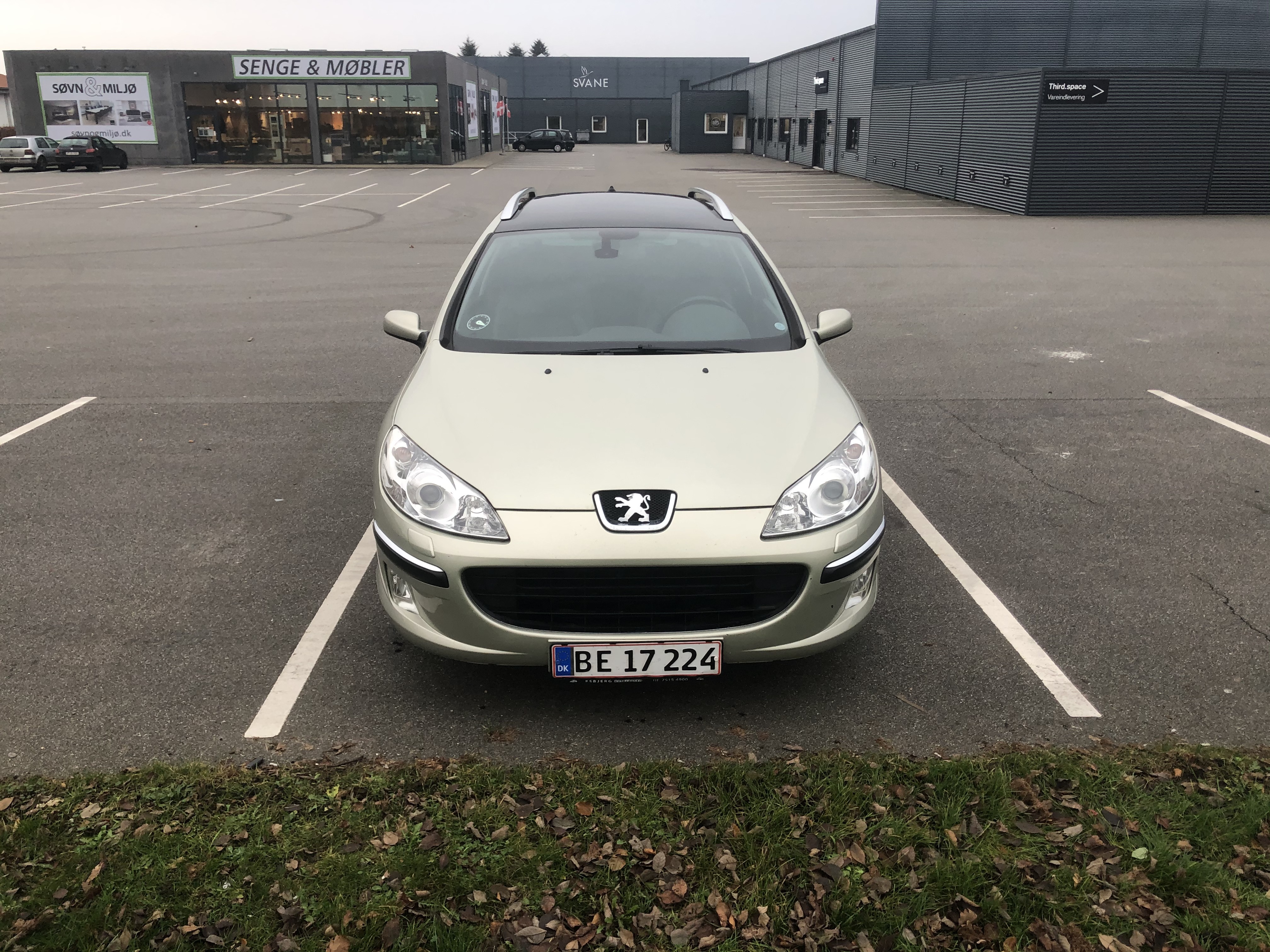 Guld Peugeot 407 fra 2005