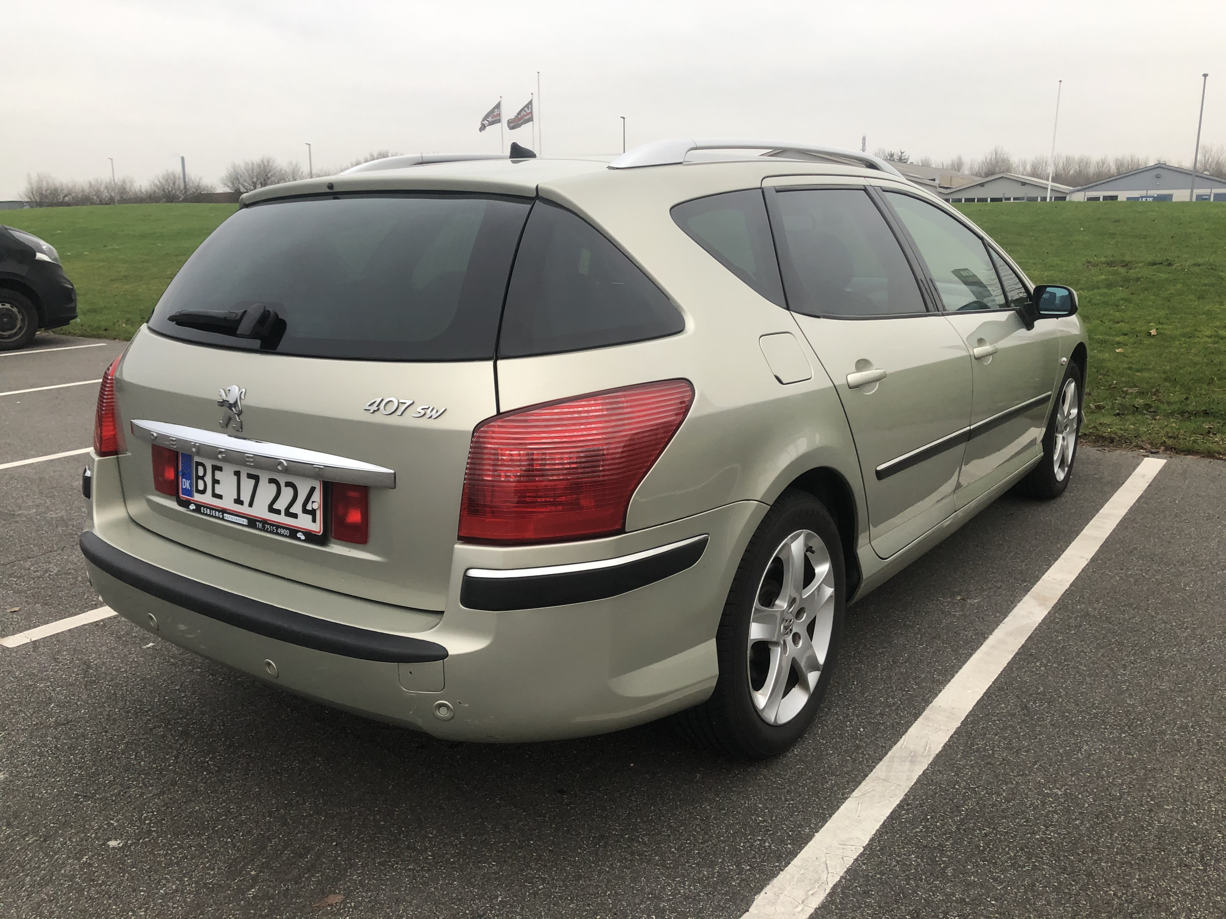 Guld Peugeot 407 fra 2005