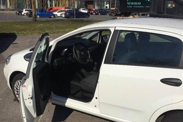 Hvid Fiat Punto fra 2012