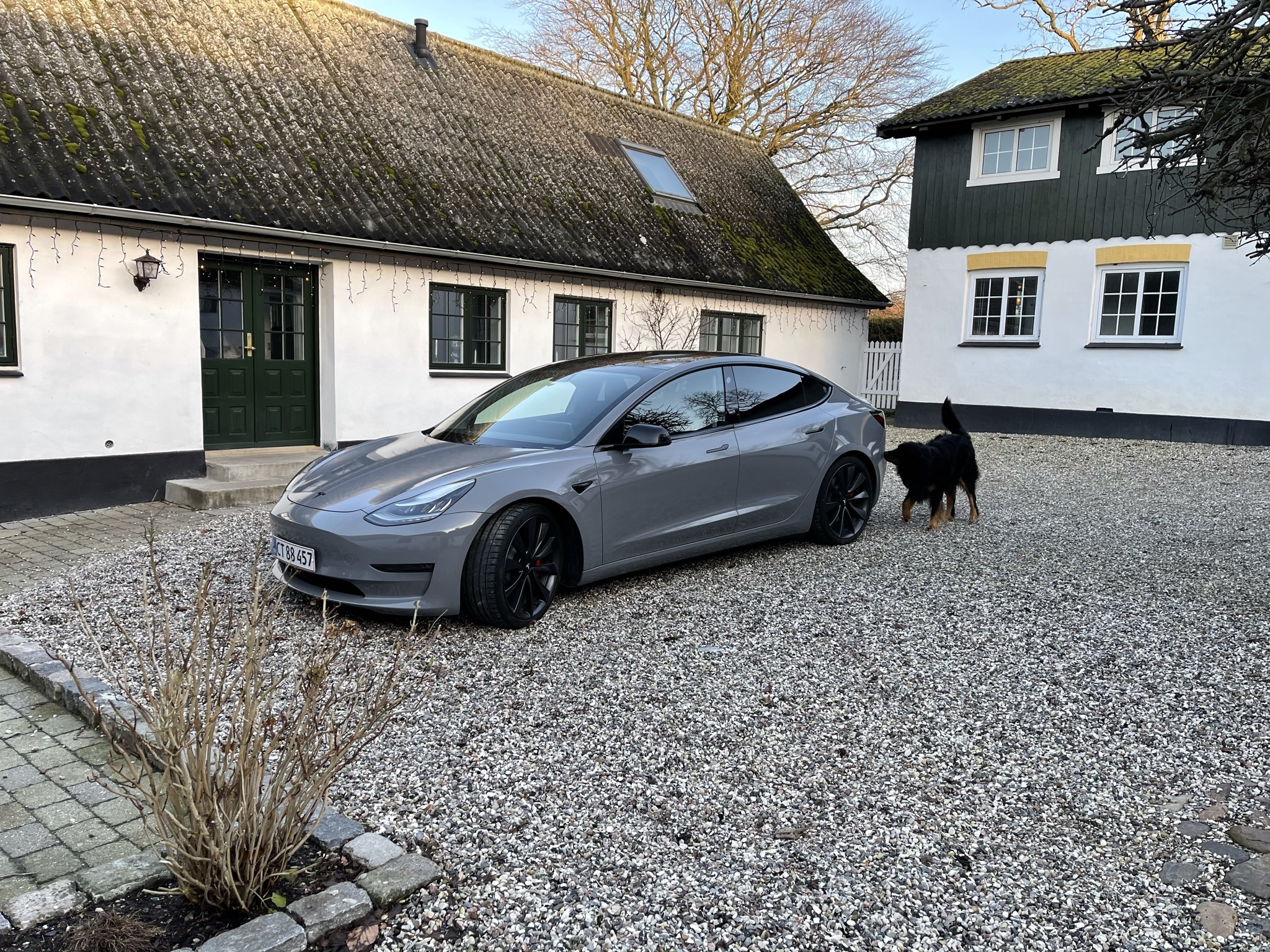 Hvid Tesla Model 3 fra 2020