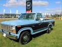 Ford F-100 4,9 V8 aut.