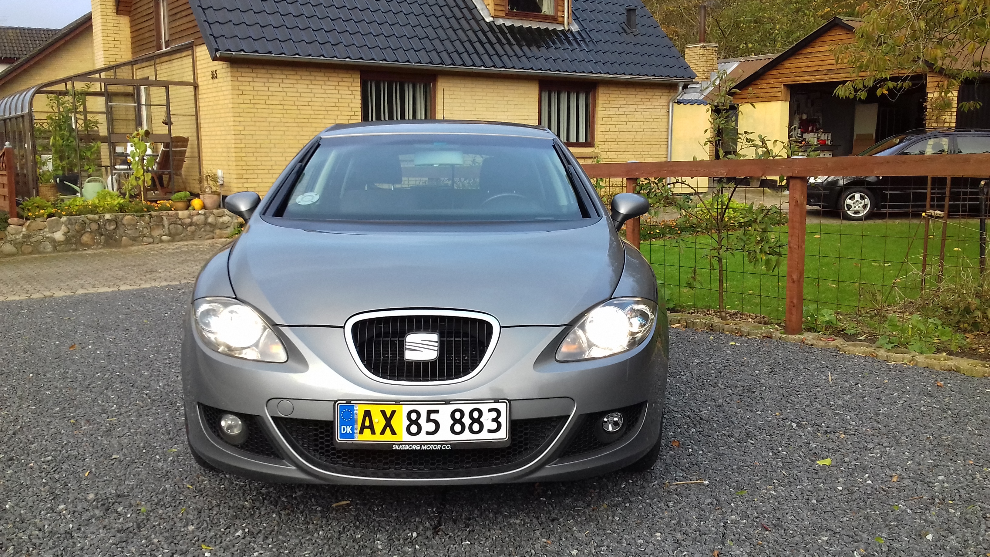 Grå Seat Leon fra 2009