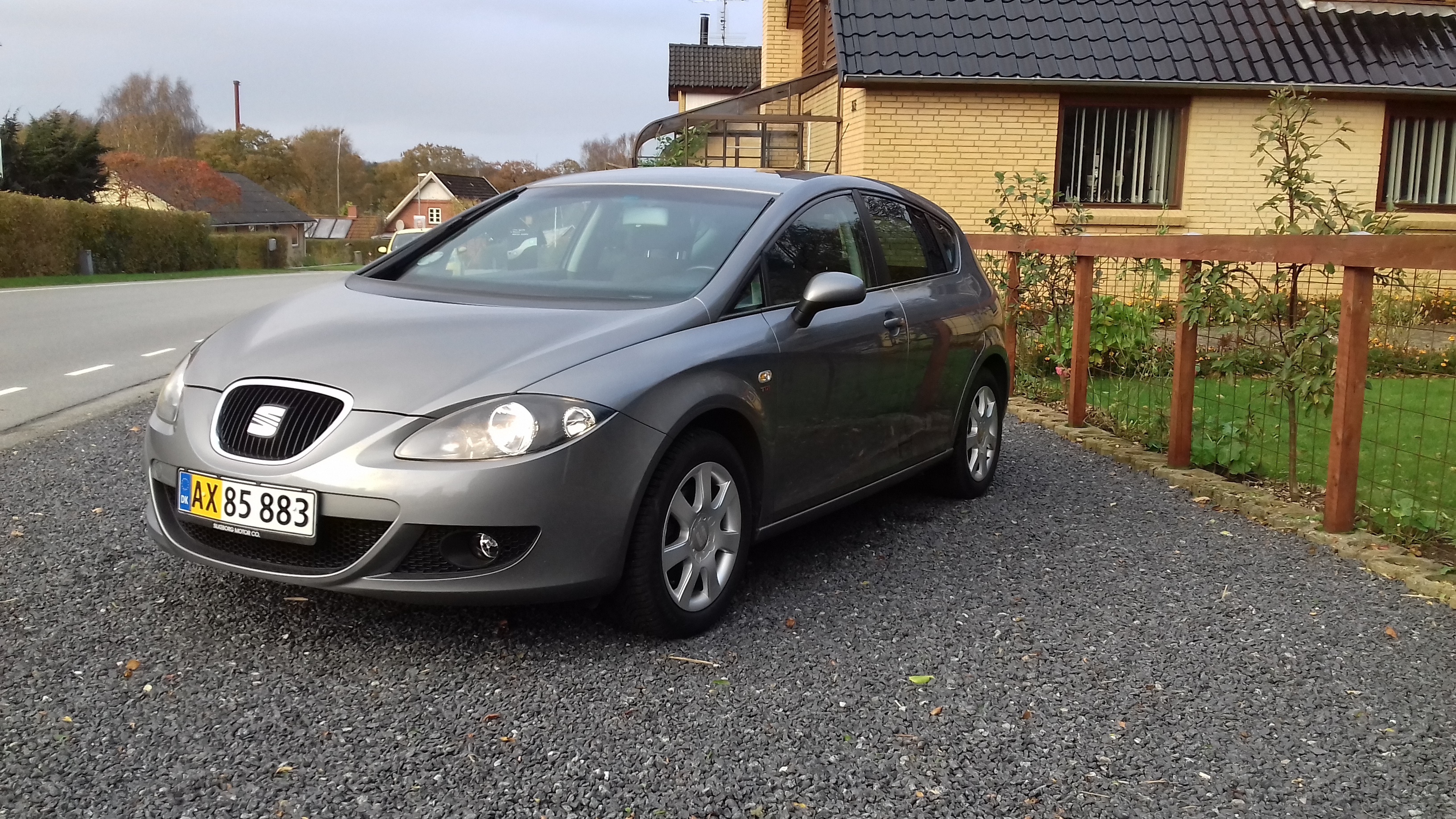 Grå Seat Leon fra 2009