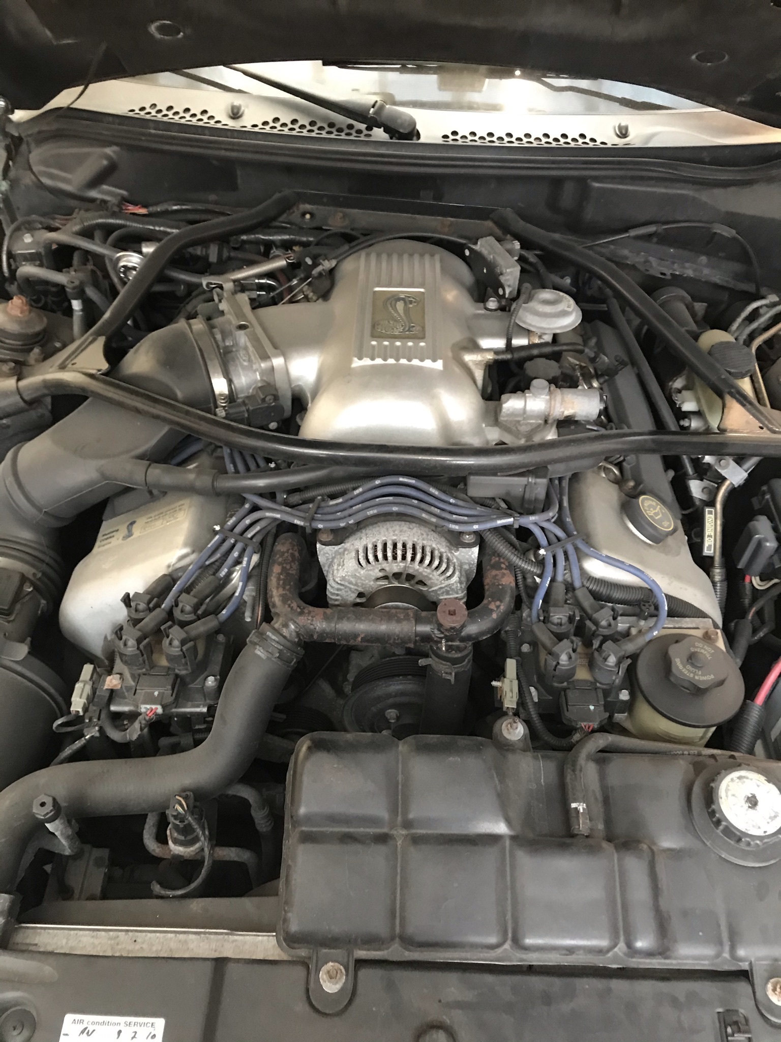 Ford Mustang 4,6 Cobra cabriolet