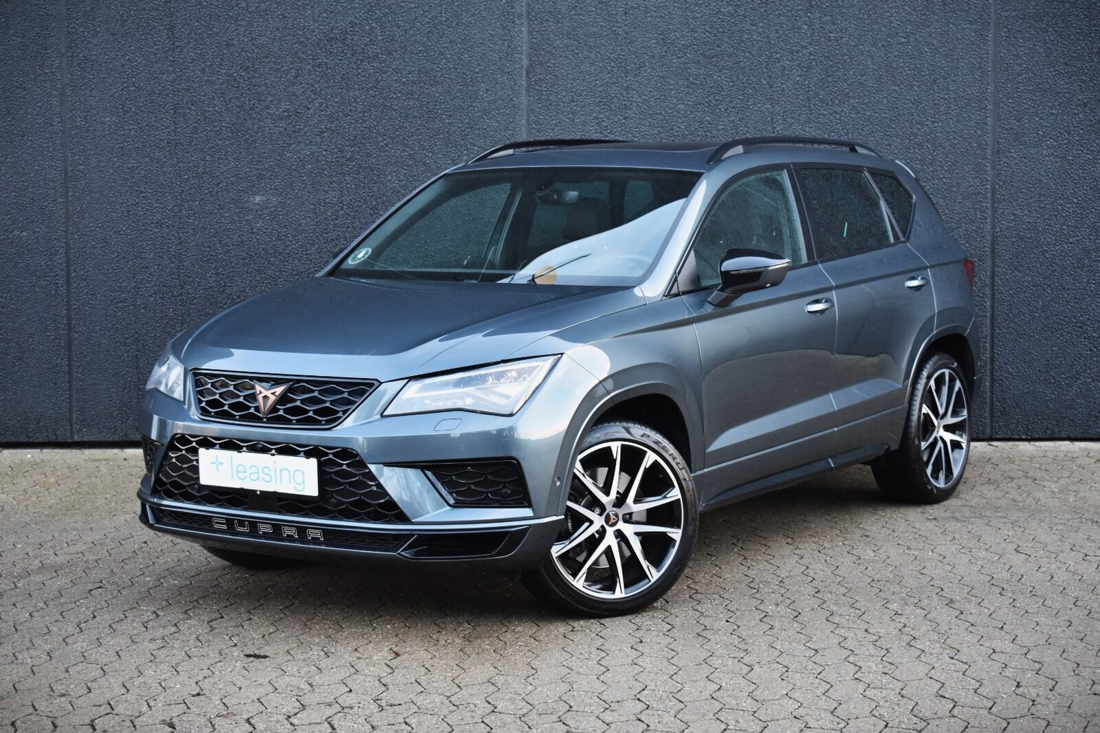 Guide til CUPRA Ateca 2.0 TSI 4Drive DSG (Årgang 12/2018 - 07/2019)