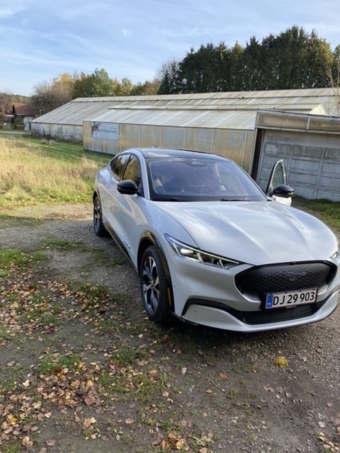 Hvid Ford Mustang Mach-E fra 2022