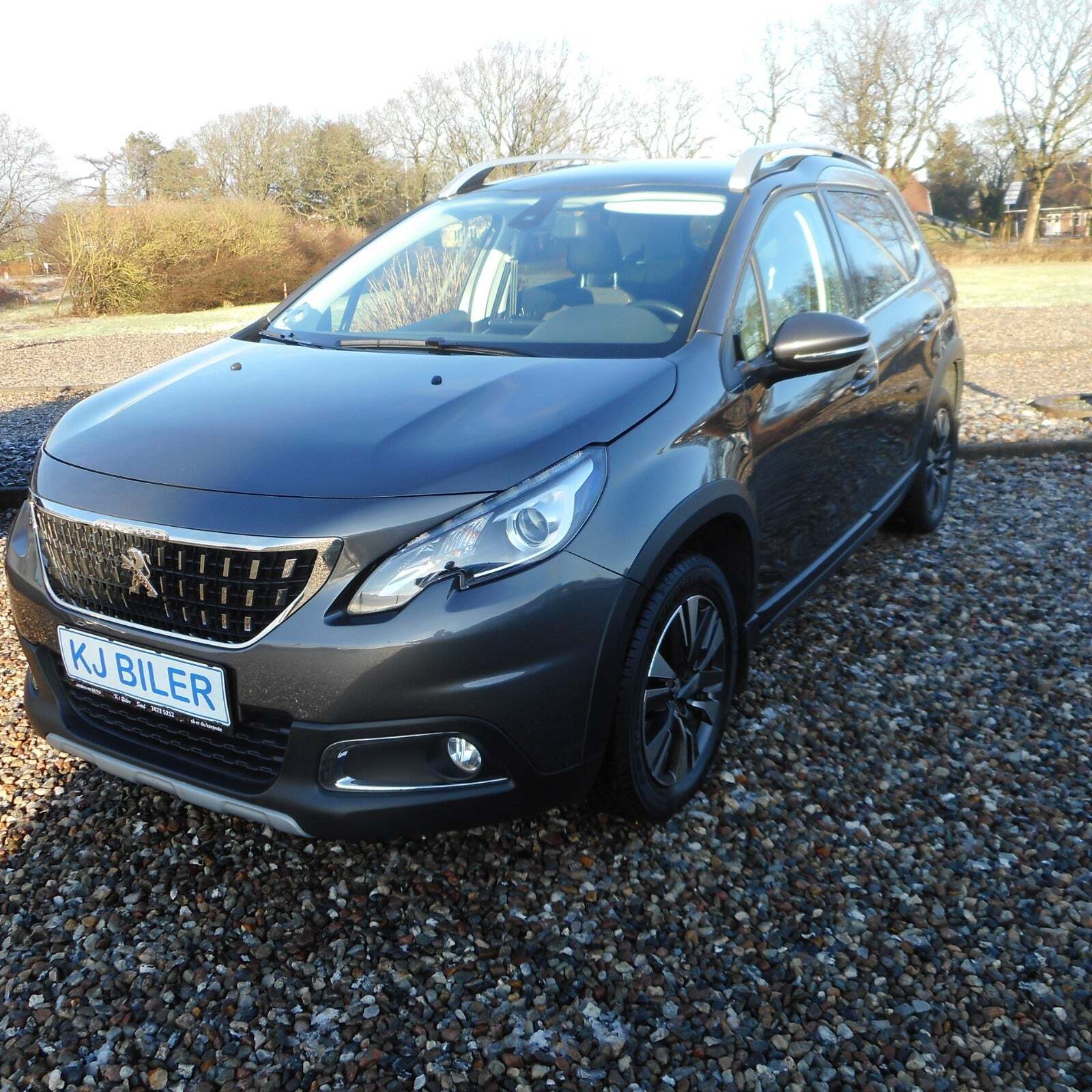 Peugeot 2008 1,6 BlueHDi 100 Allure Sky