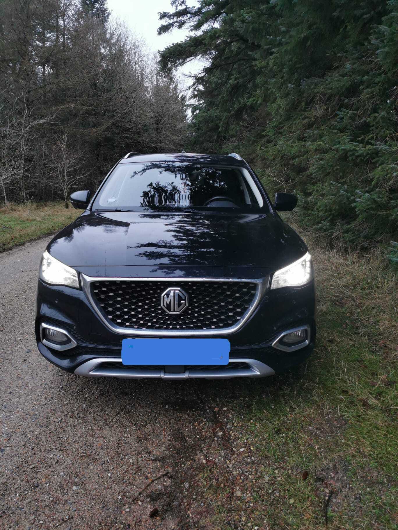 Sort MG EHS fra 2021