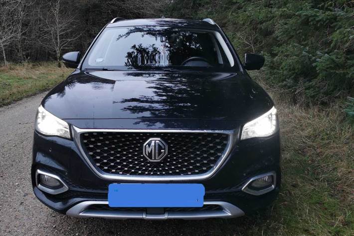 Sort MG EHS fra 2021