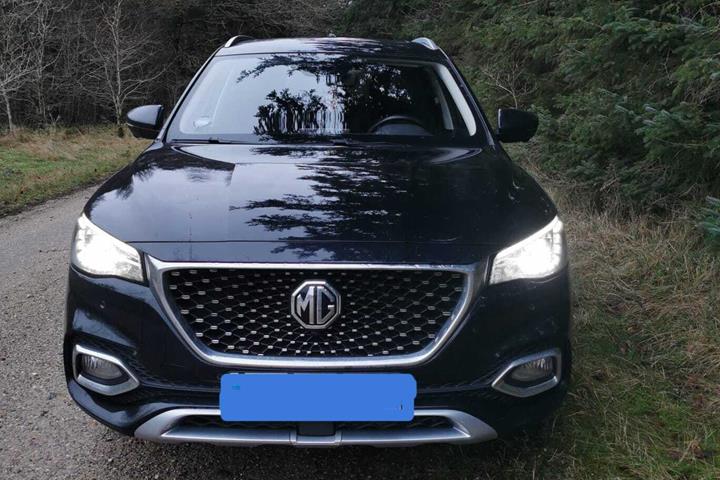 Sort MG EHS fra 2021