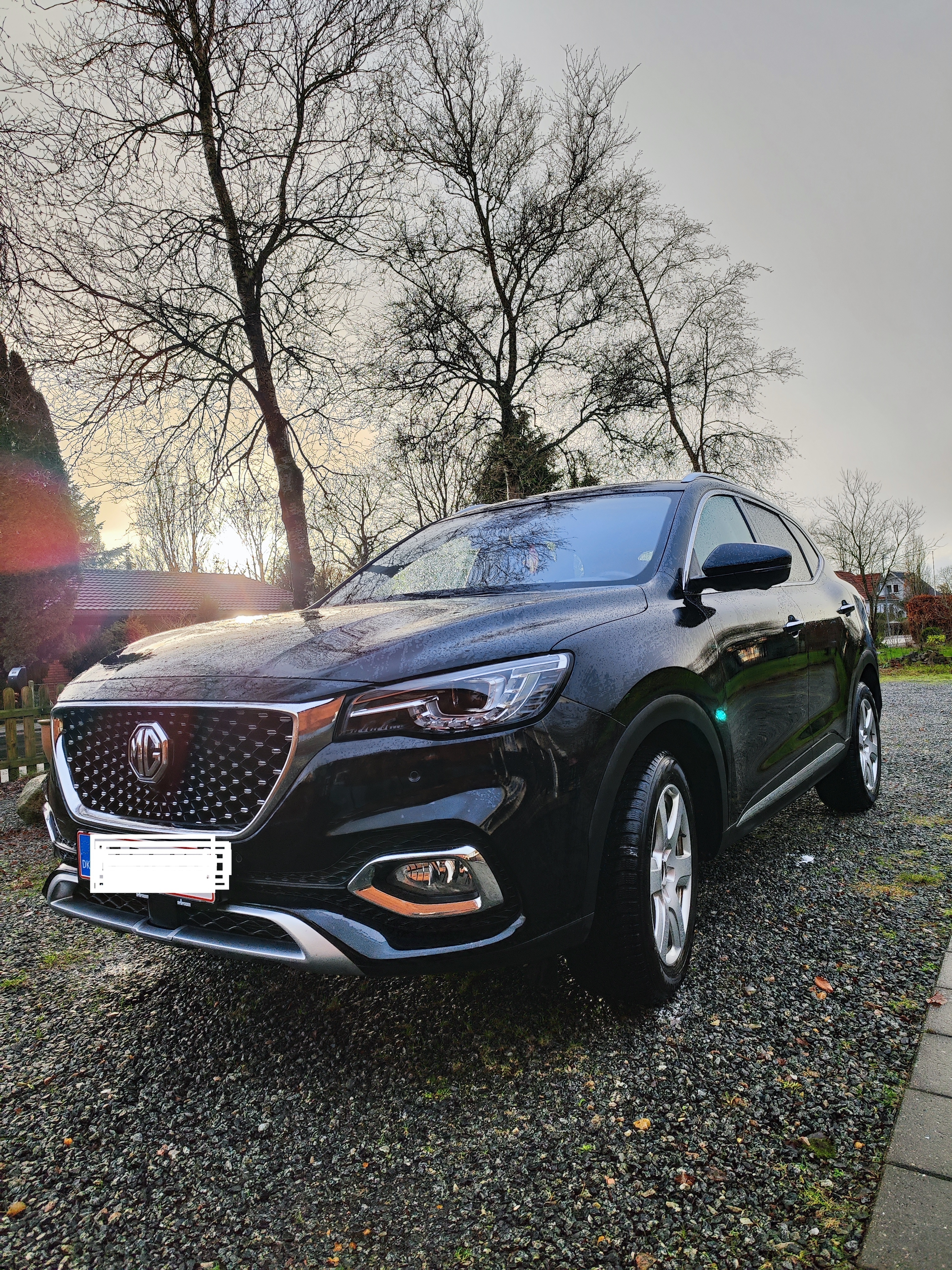 Sort MG EHS fra 2021