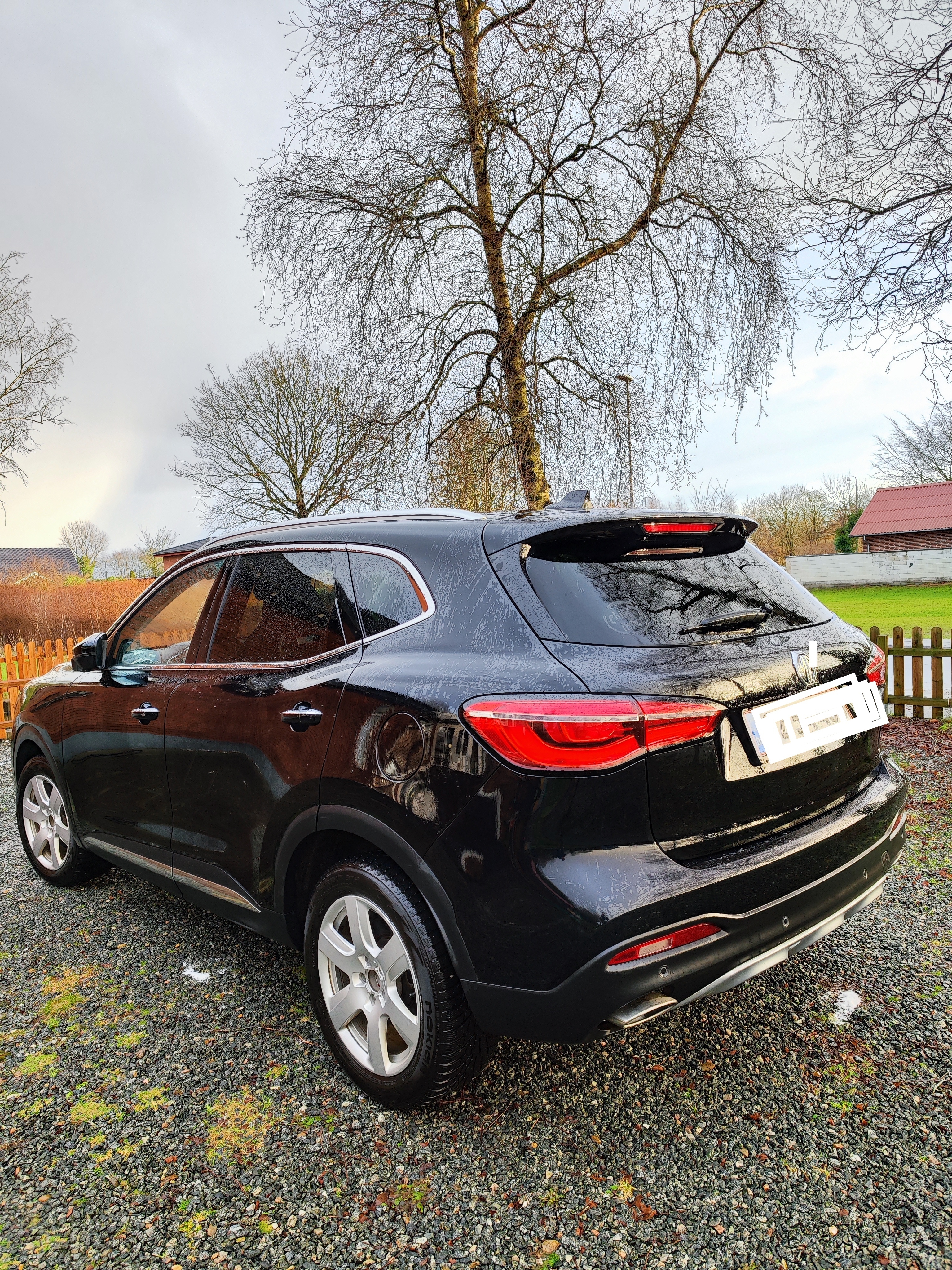 Sort MG EHS fra 2021