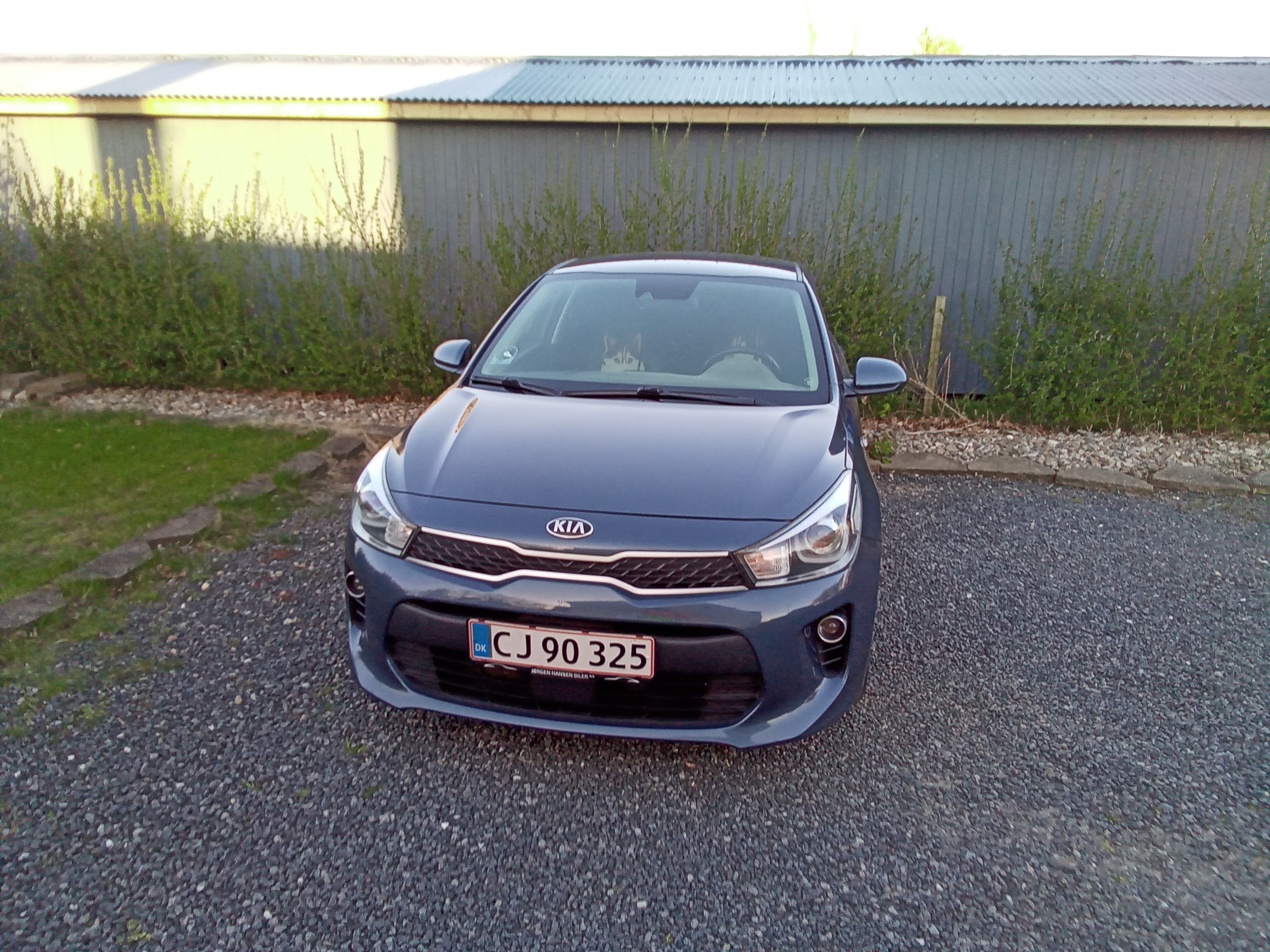 Blå Kia Rio fra 2019