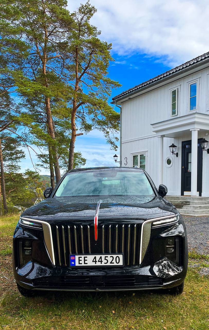 Hongqi E-HS9 99Premium 5d