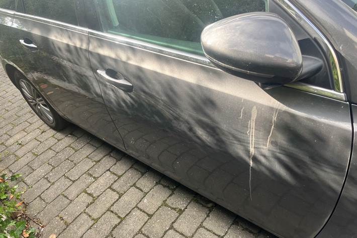 Grå Peugeot 308 fra 2019