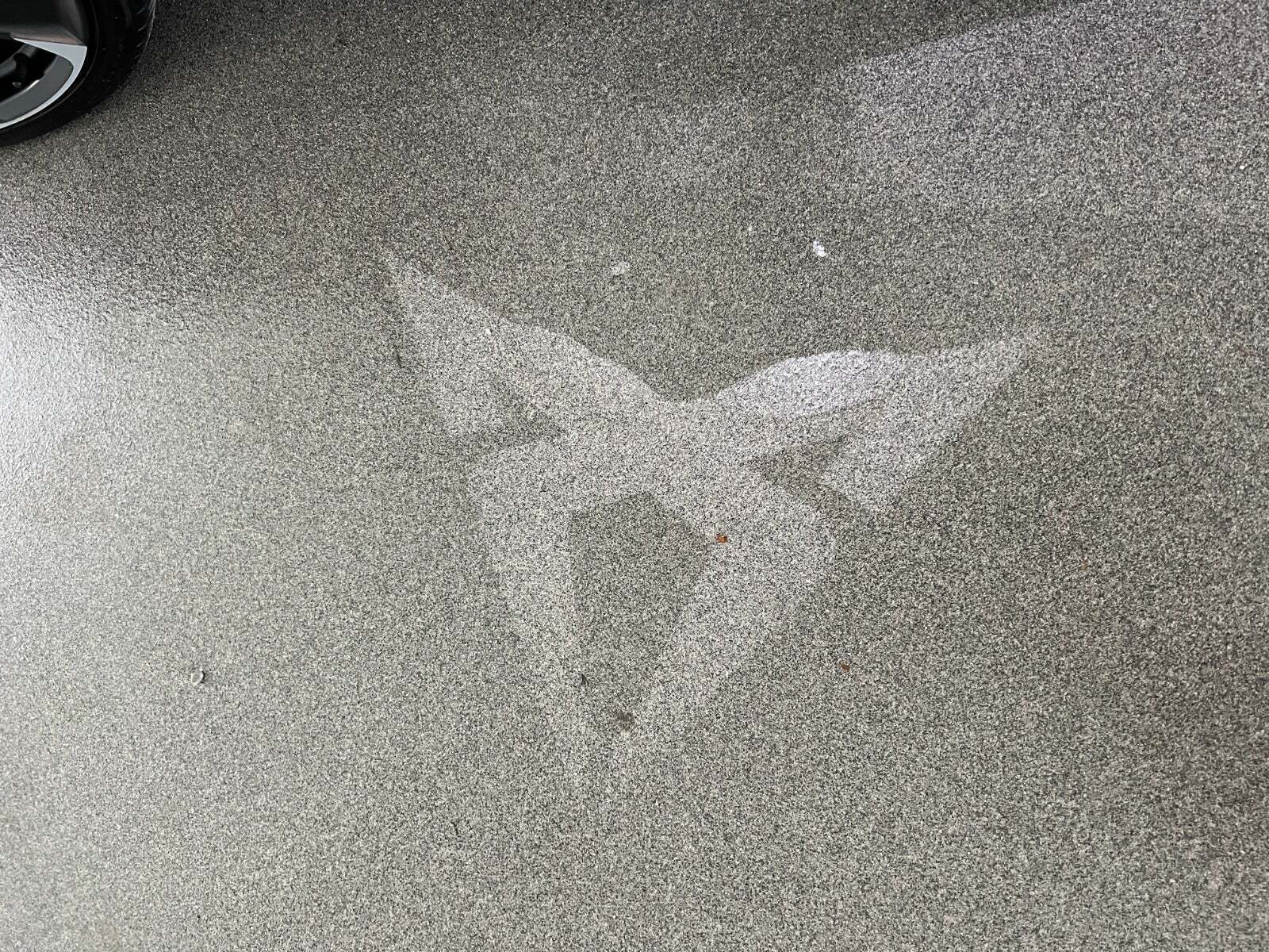 Grå Cupra Leon fra 2021