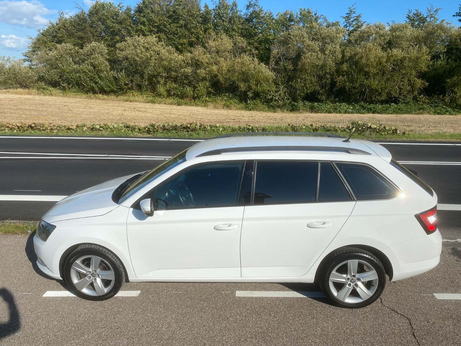Hvid Skoda Fabia fra 2016