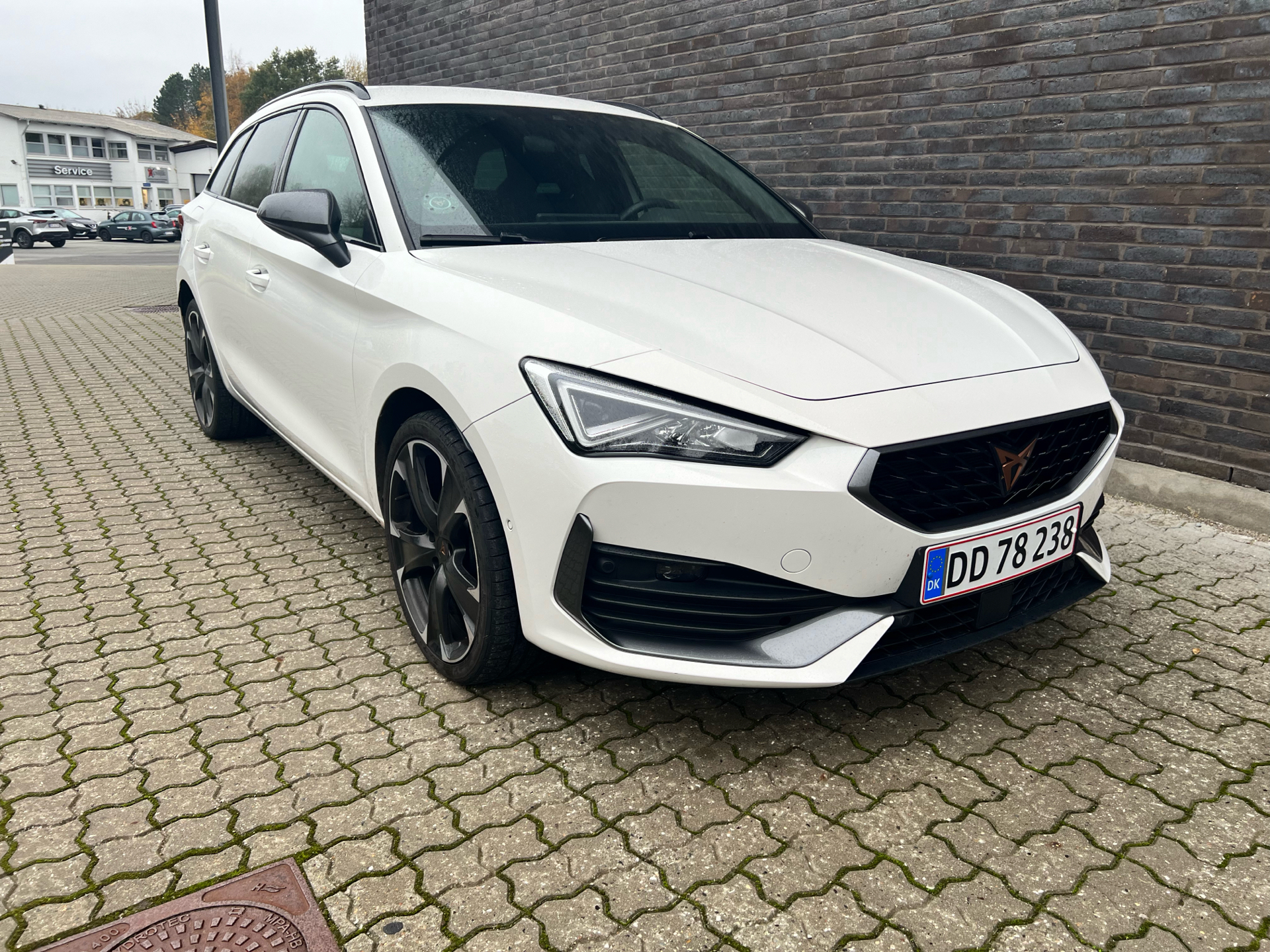 Hvid Cupra Leon fra 2021
