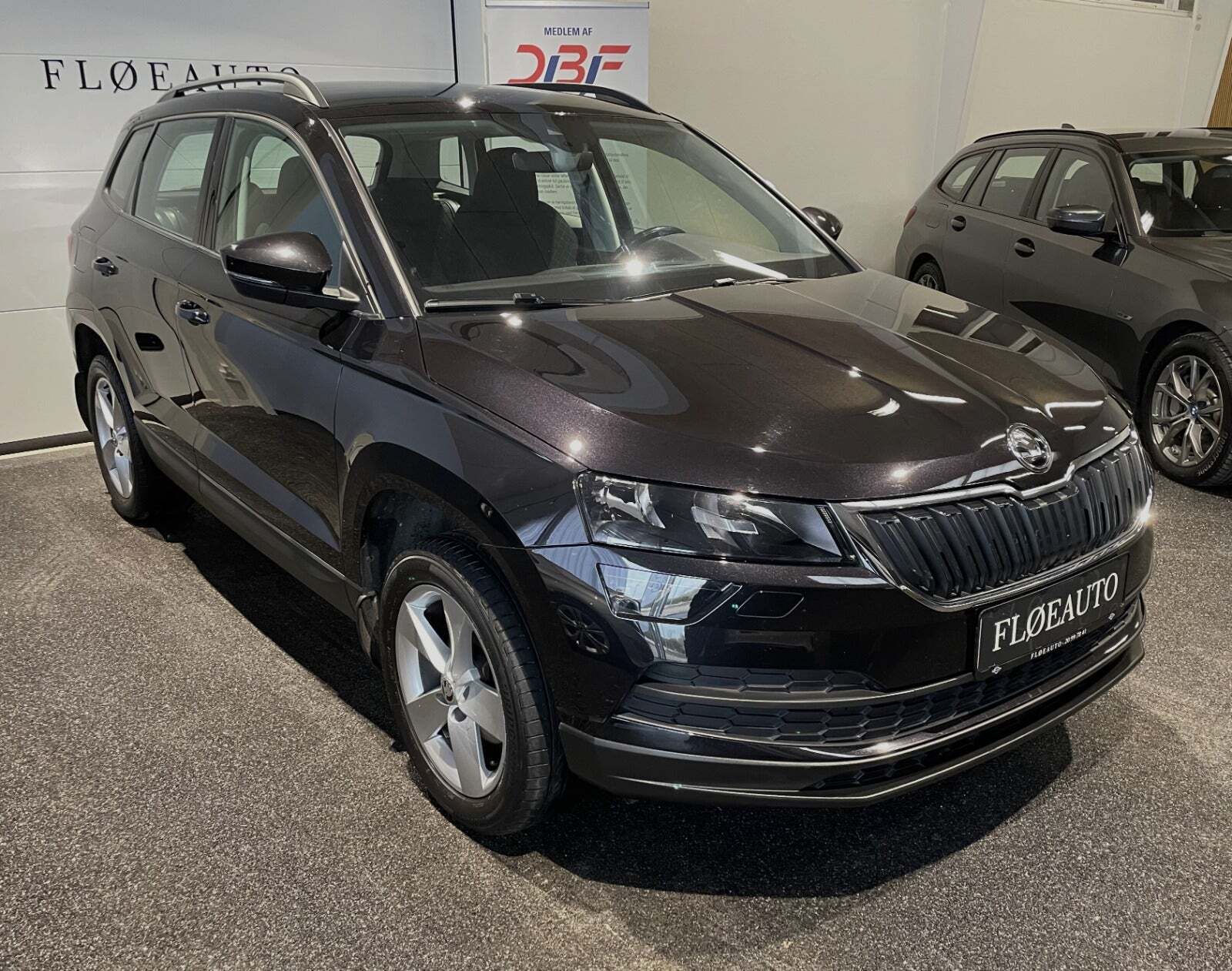 undefined Skoda Karoq fra 2019 set udefra