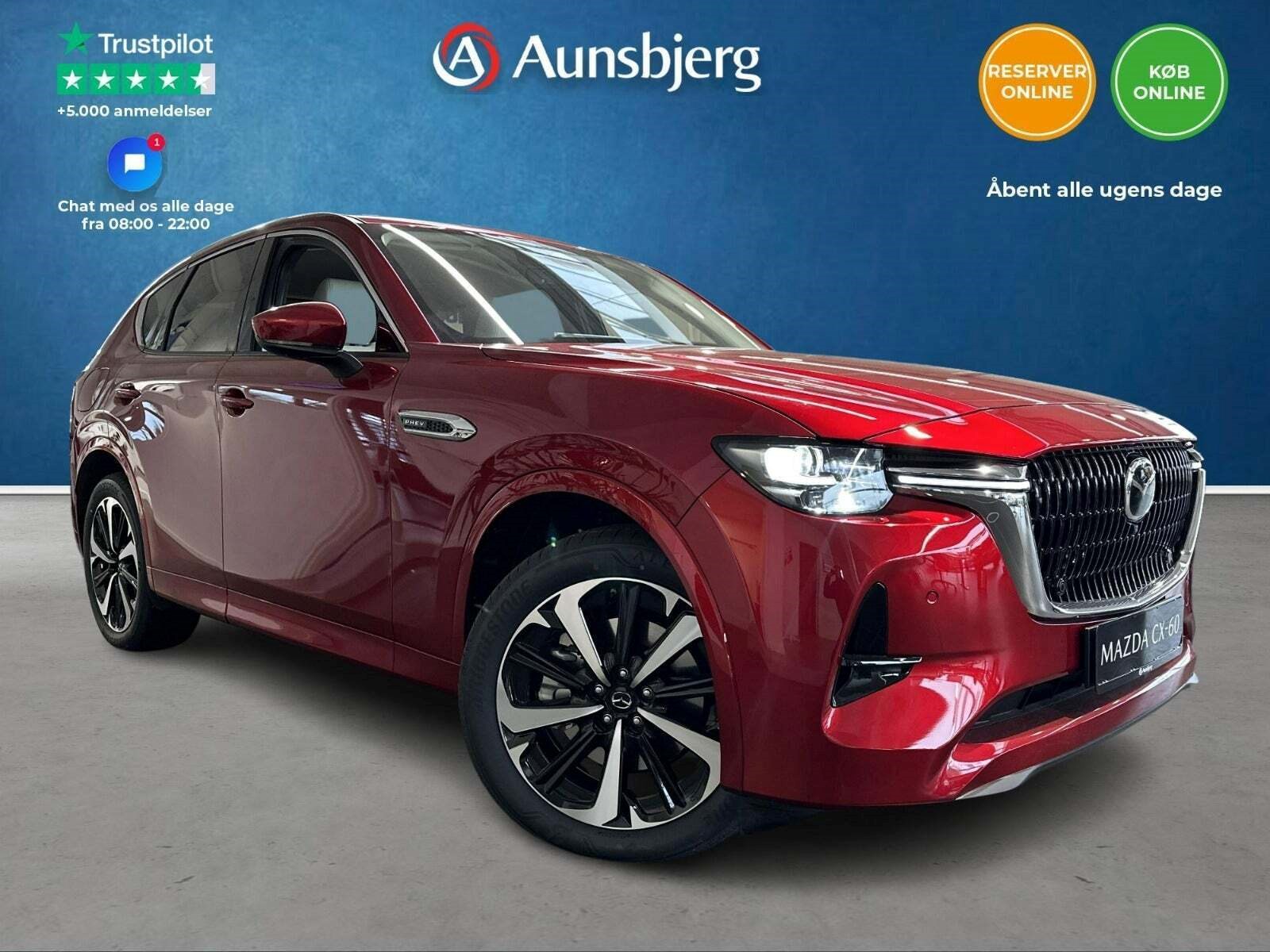 Guide til Mazda CX-60 3.3 e-Skyactiv D 200 Takumi Automatik (Årgang 01/2023 - 02/2024)