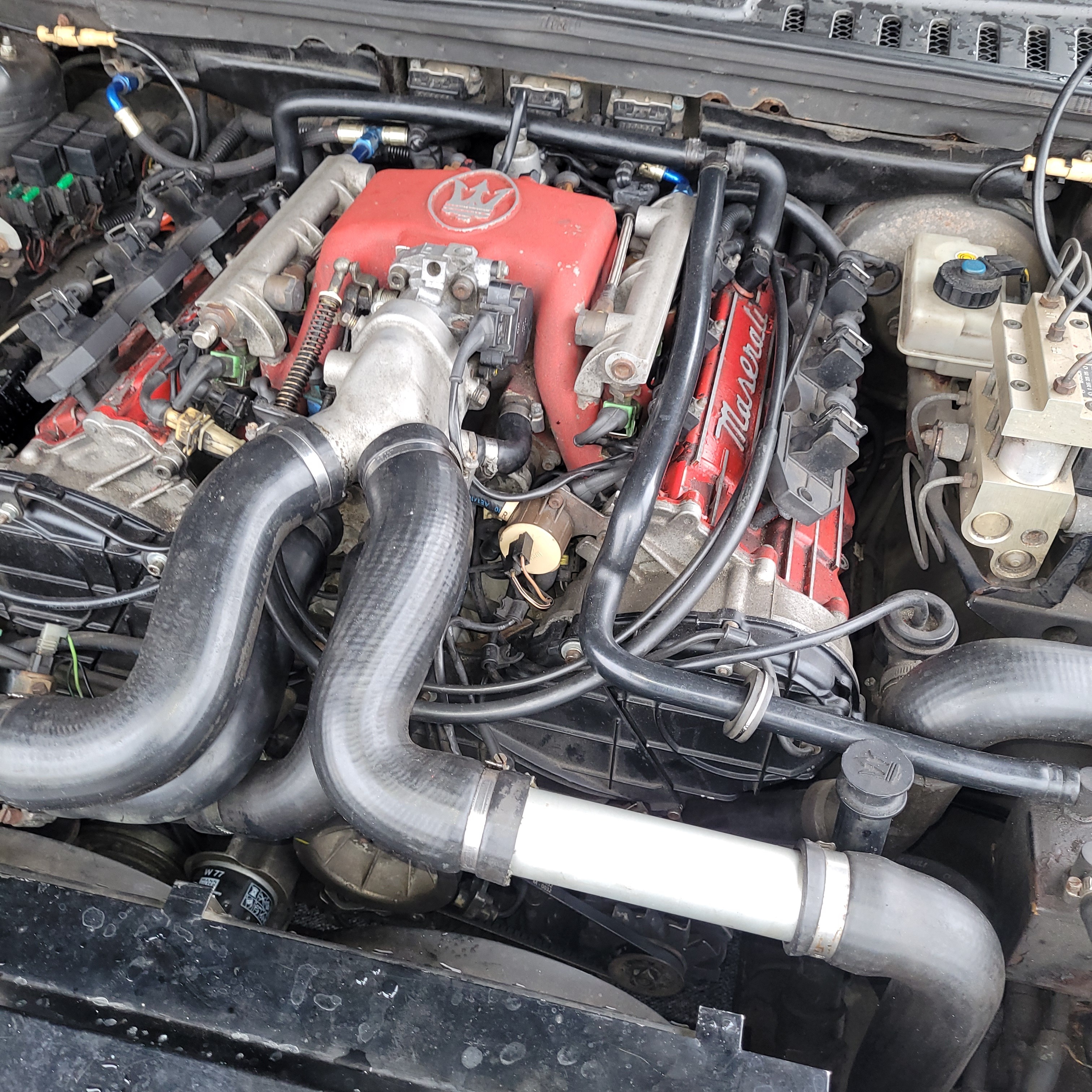 Sort Maserati Quattroporte fra 1997