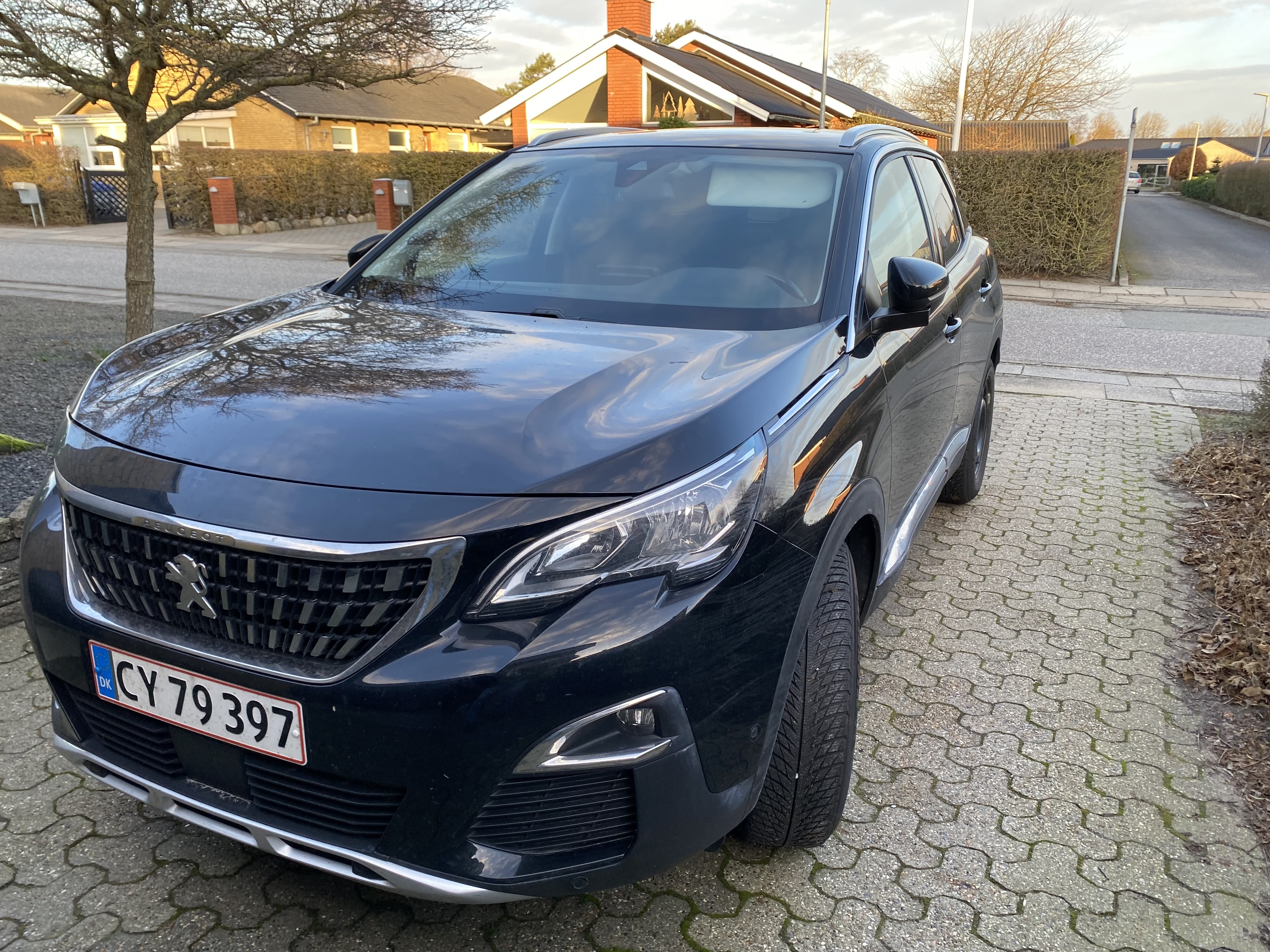 Peugeot 3008 1,5 BlueHDi 130 SUV