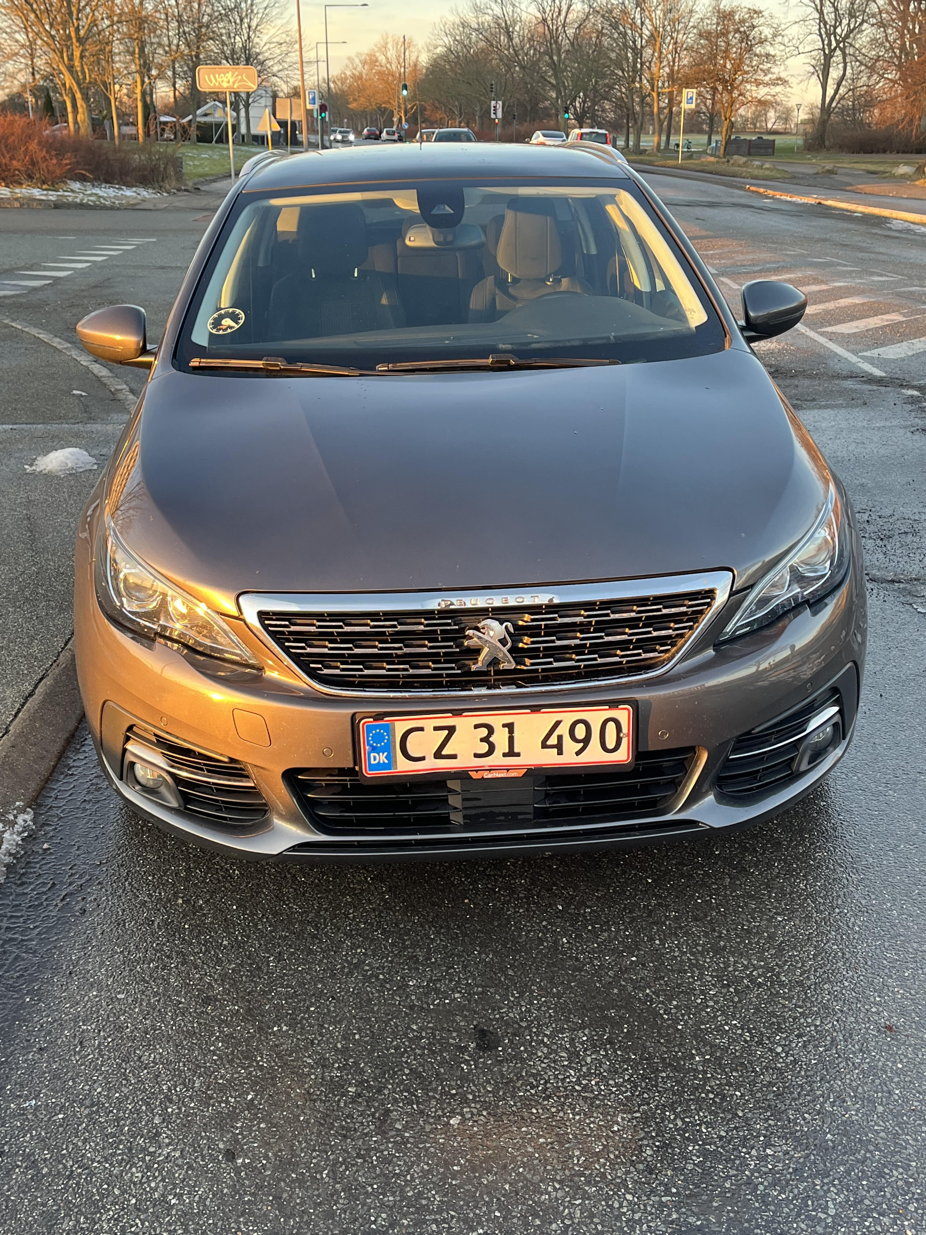 Grå Peugeot 308 fra 2019