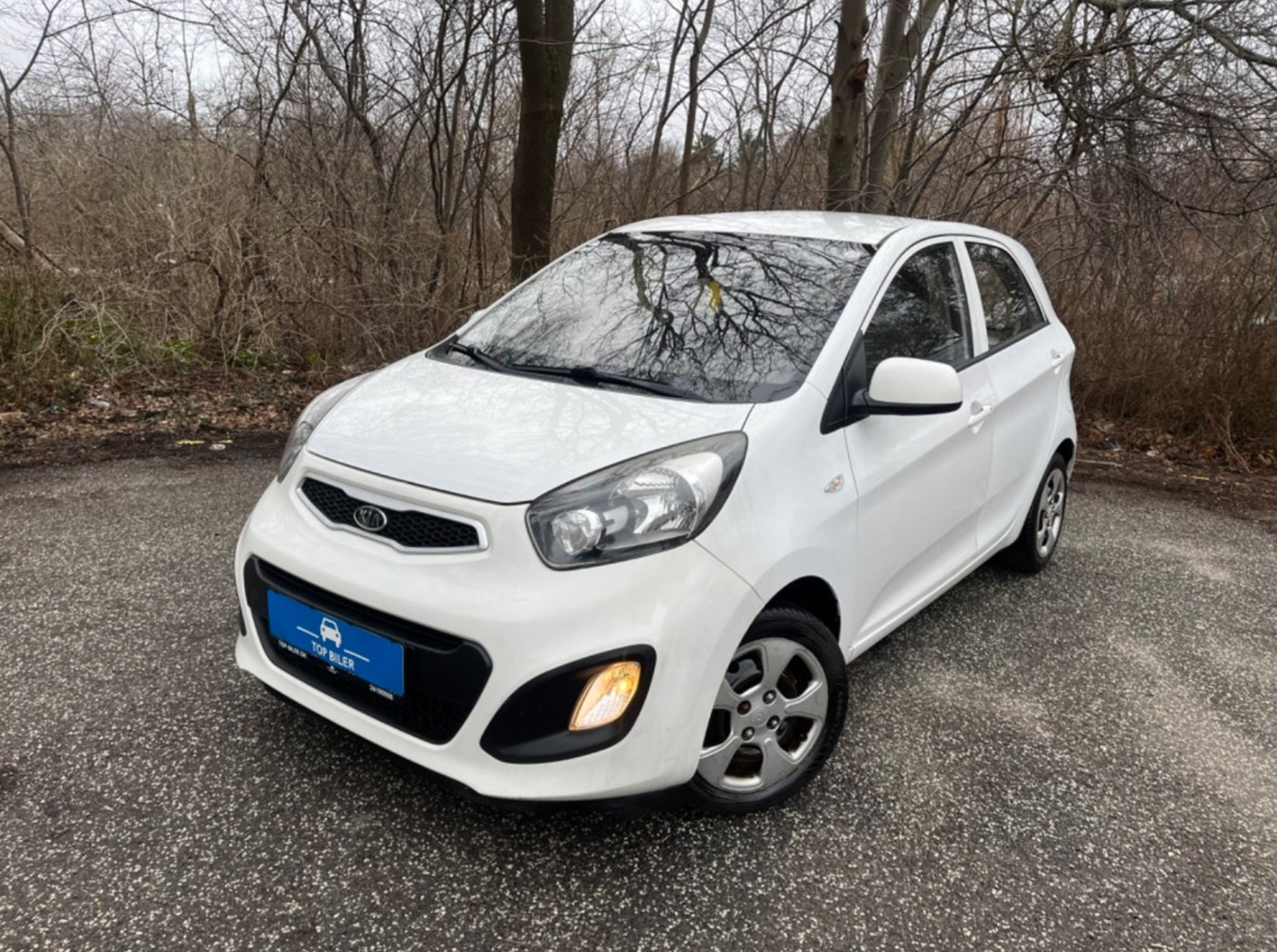 Hvid Kia Picanto fra 2012