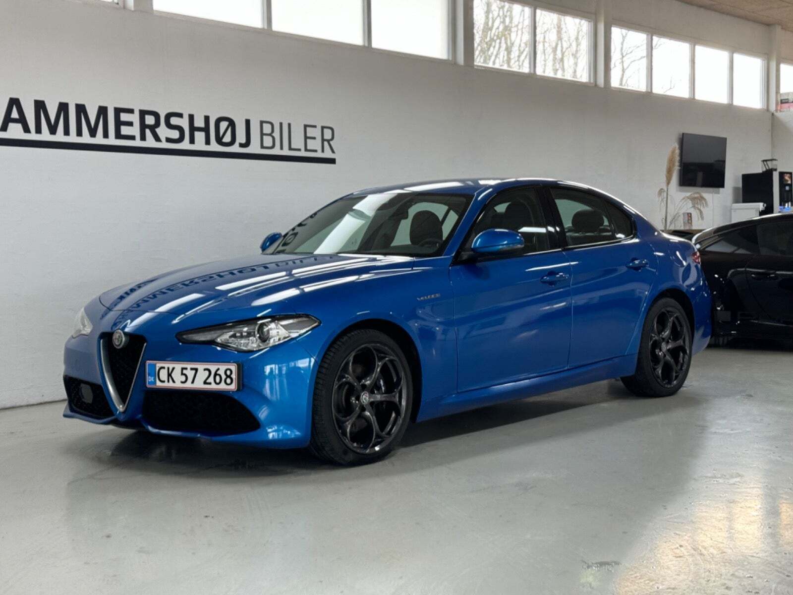 Guide til Alfa Romeo Giulia 2.2 Diesel Super AT8 (Årgang 06/2016 - 08/2018)