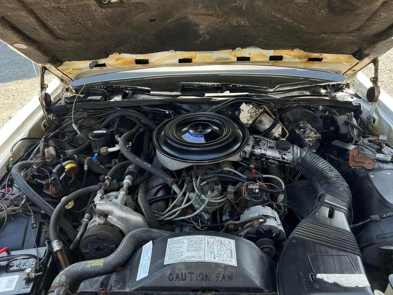 Hvid Ford Crown Victoria fra 1984