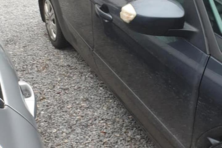 undefined Ford S-MAX fra 2007