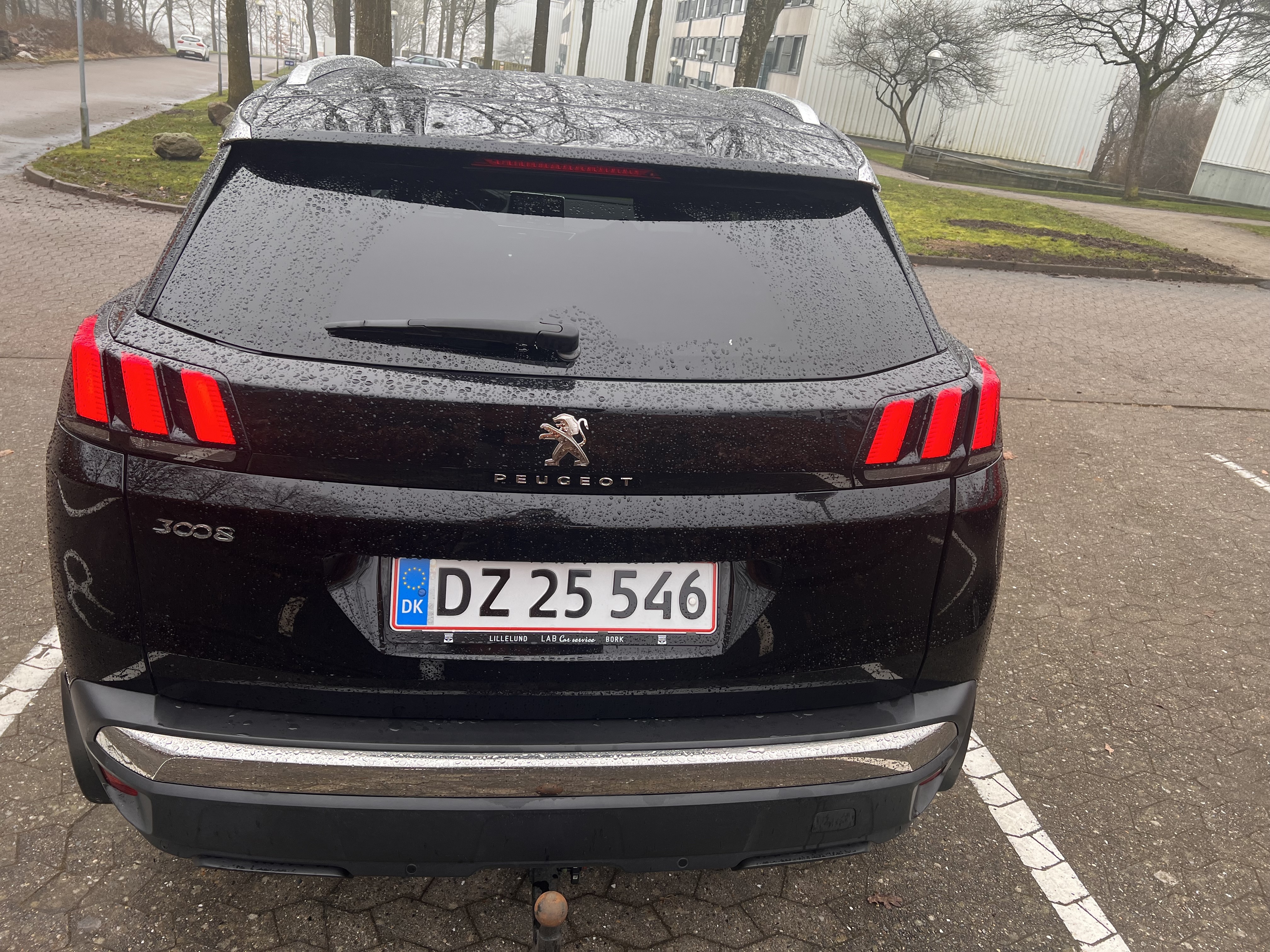 Peugeot 3008 1,6 BlueHDi 120 hk SUV