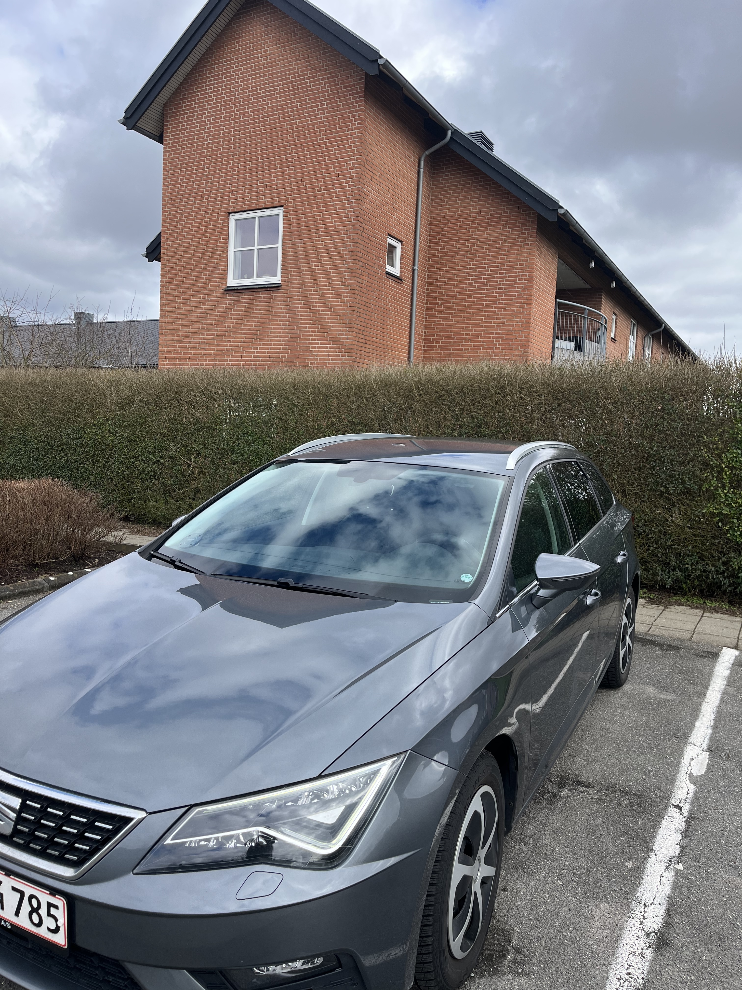 Grå Seat Leon fra 2017