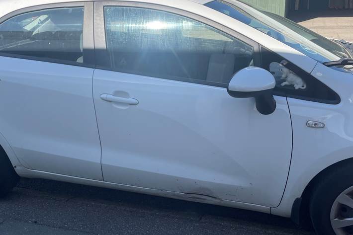 Hvid Kia Rio fra 2016