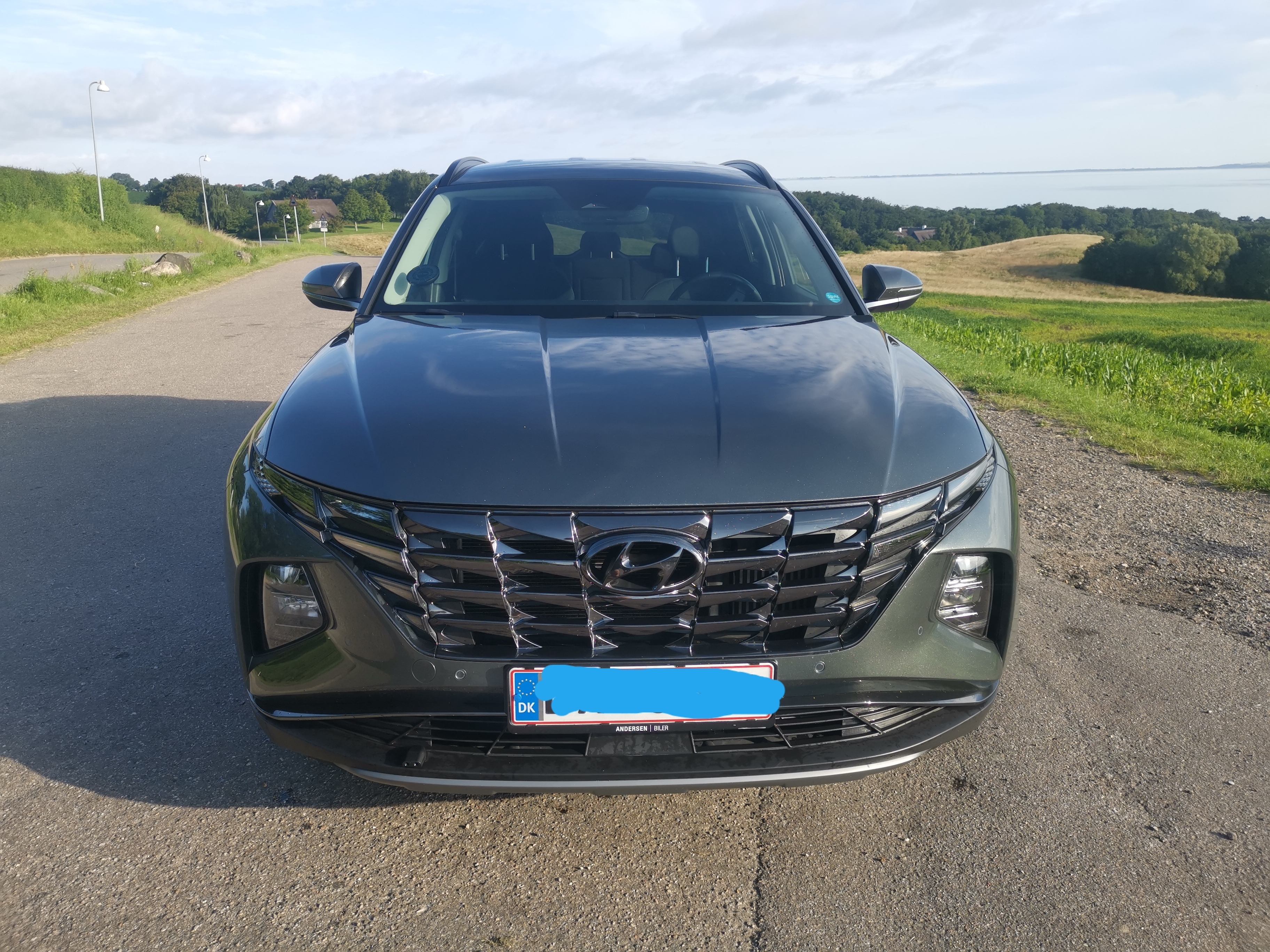 Grøn Hyundai Tucson fra 2021